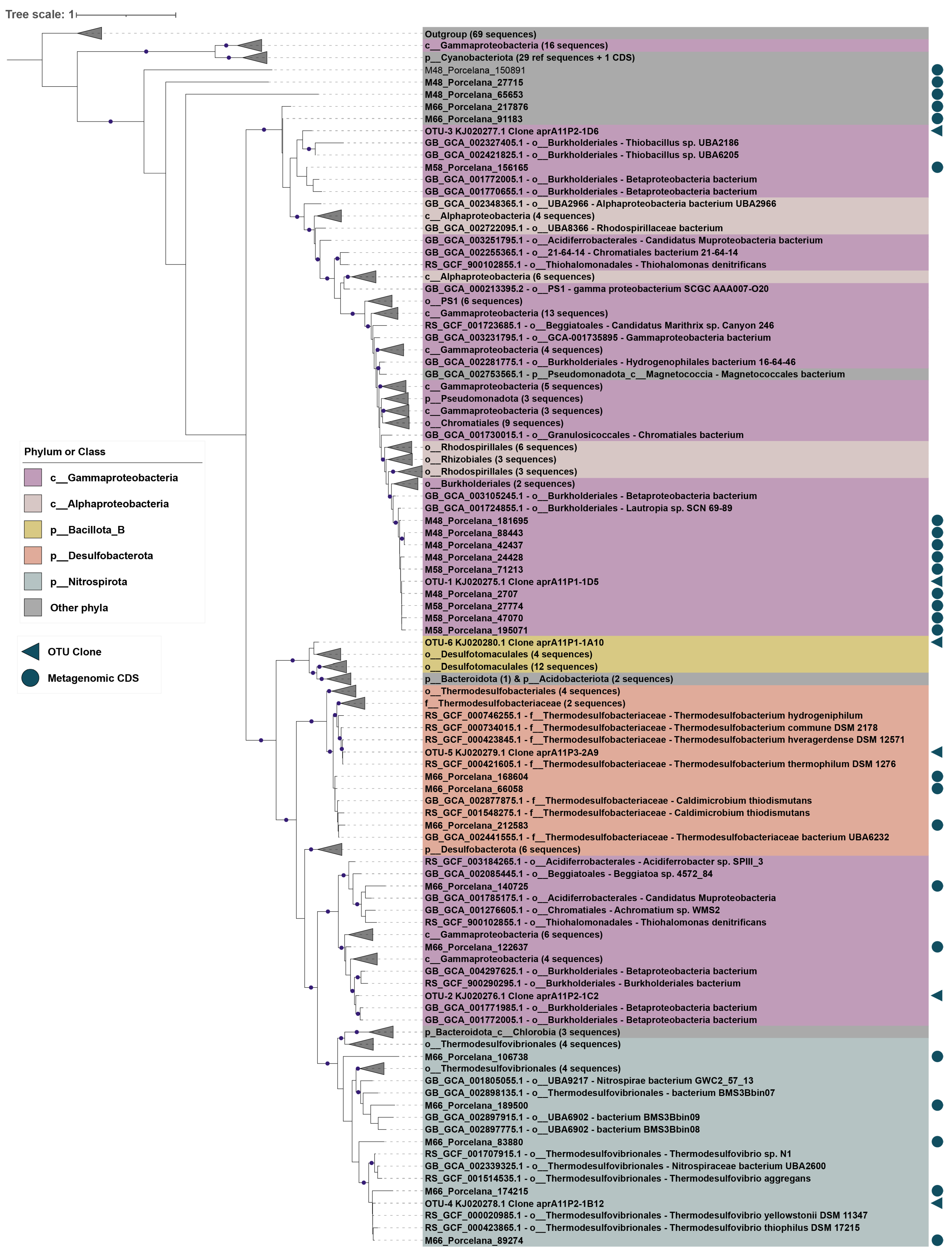 Microorganisms 11 01803 g003
