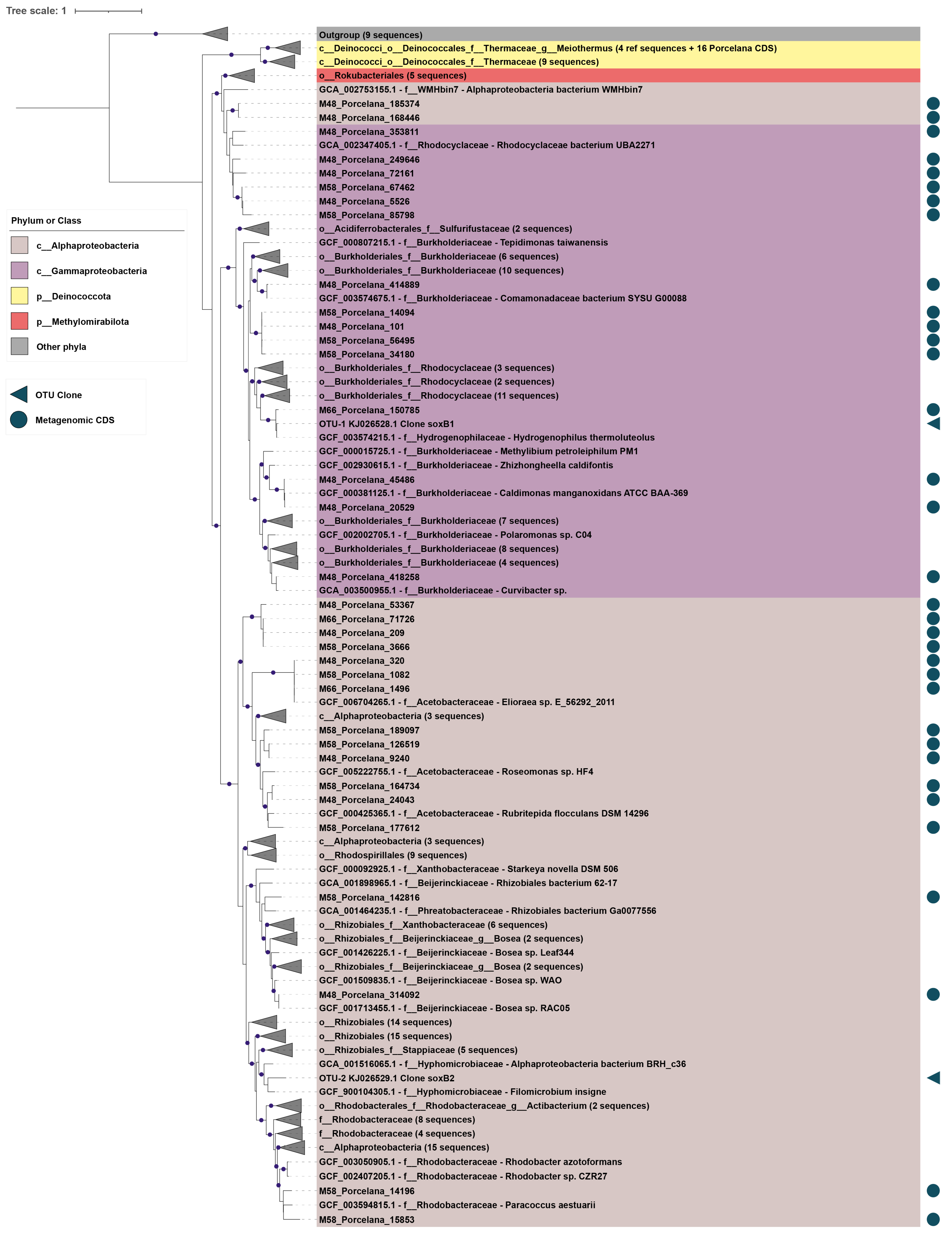 Microorganisms 11 01803 g004