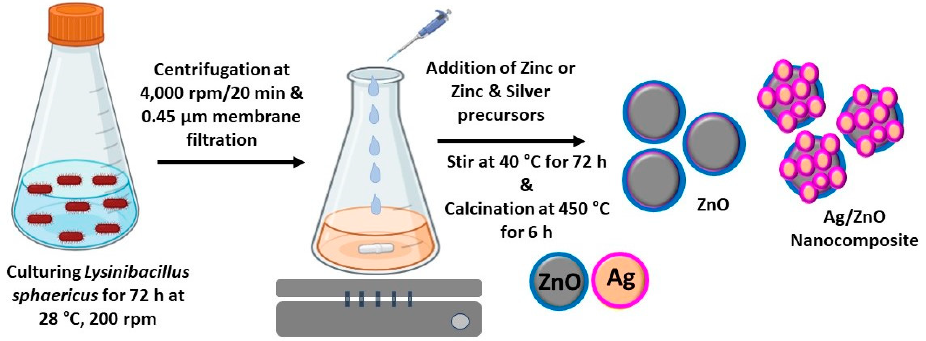 Microorganisms 11 01810 g001