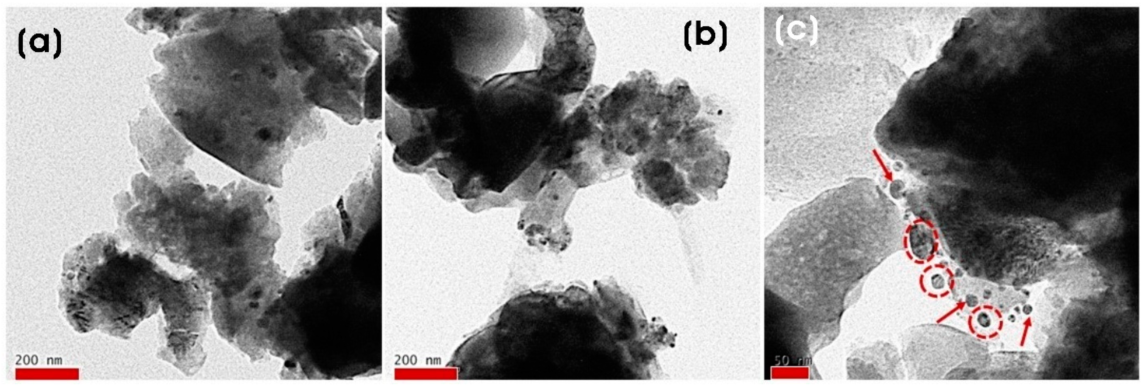 Microorganisms 11 01810 g005