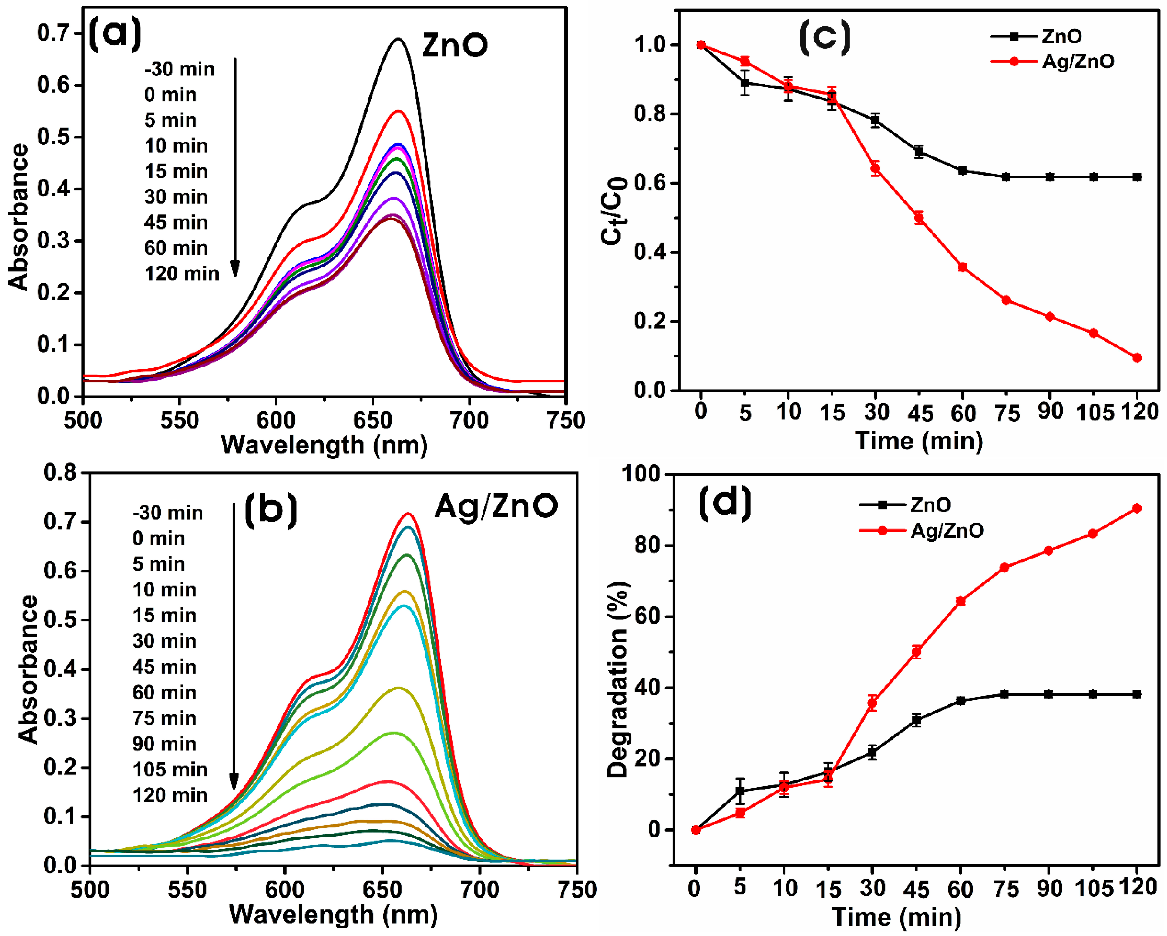 Microorganisms 11 01810 g009