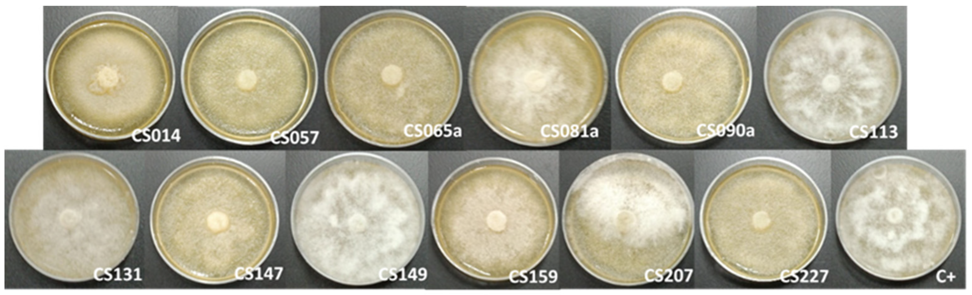 Microorganisms 11 01820 g008