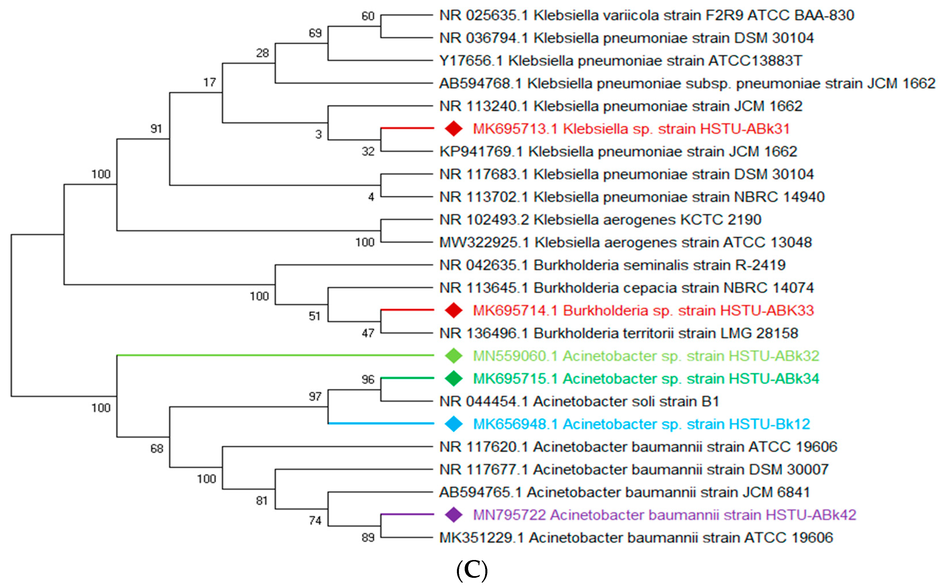 Microorganisms 11 01821 g002b