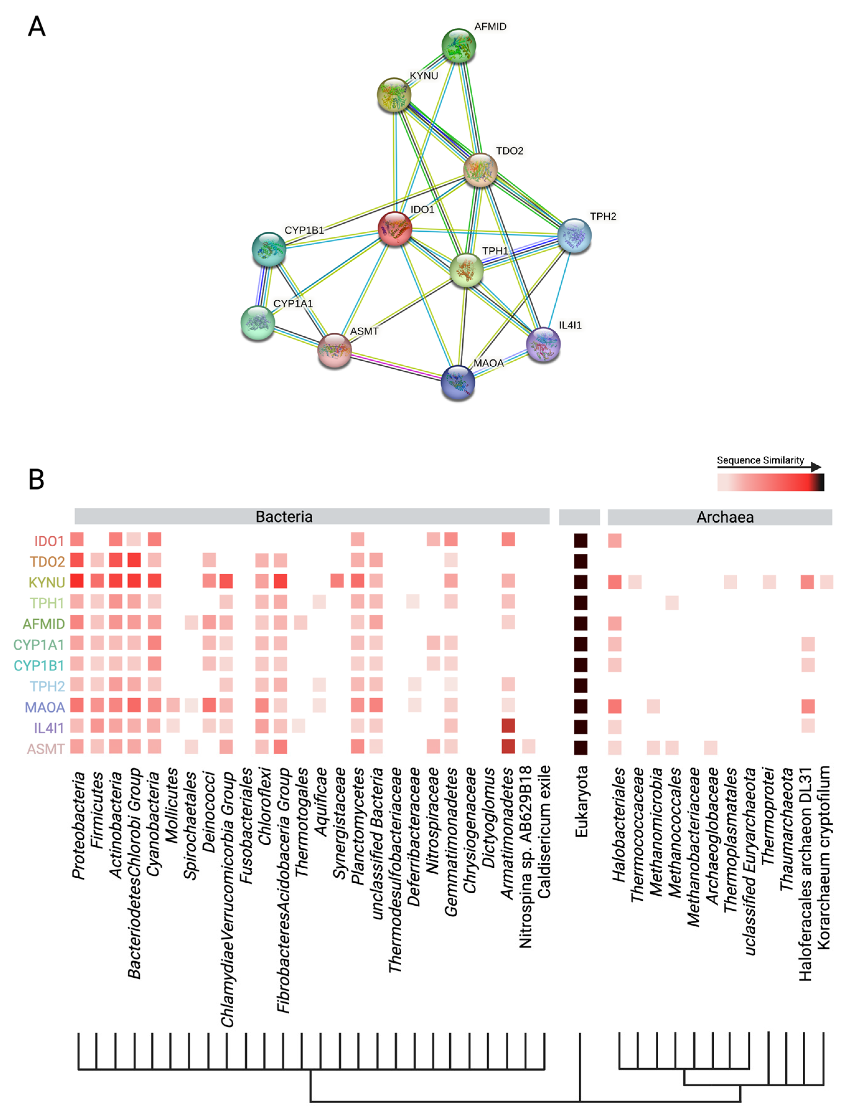 Microorganisms 11 01825 g004 Microorganisms 11 01825 g004