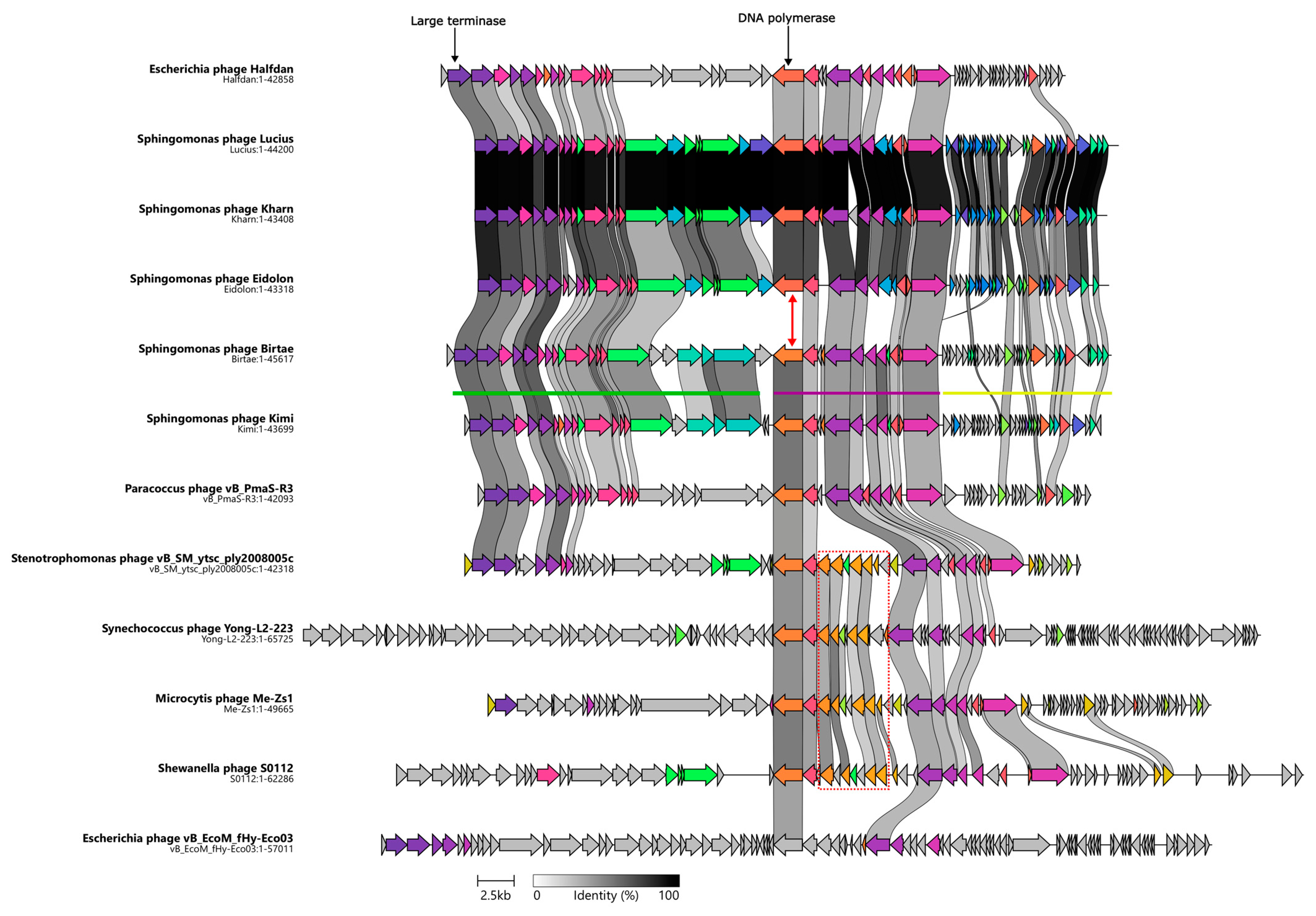 Microorganisms 11 01831 g002
