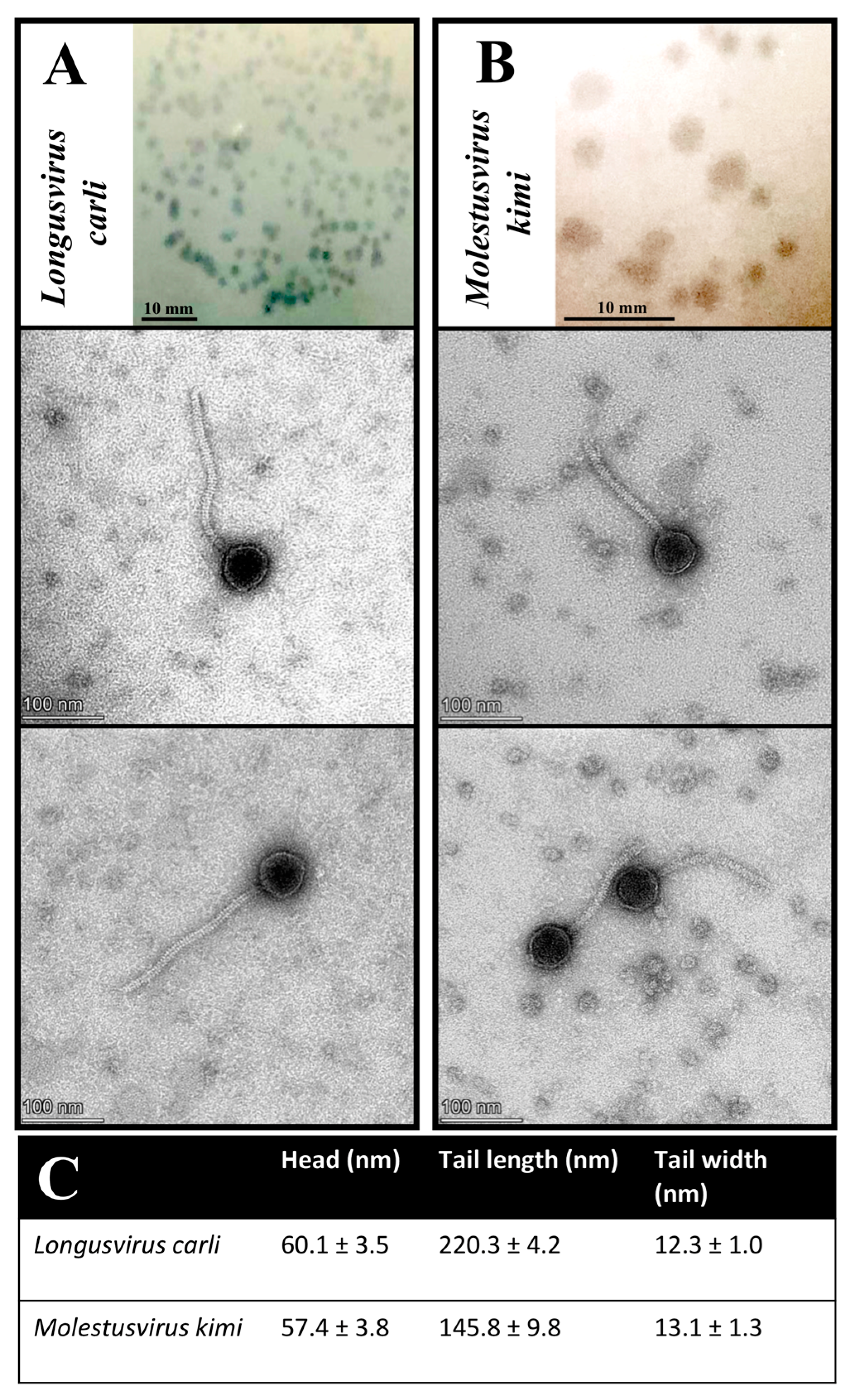 Microorganisms 11 01831 g003
