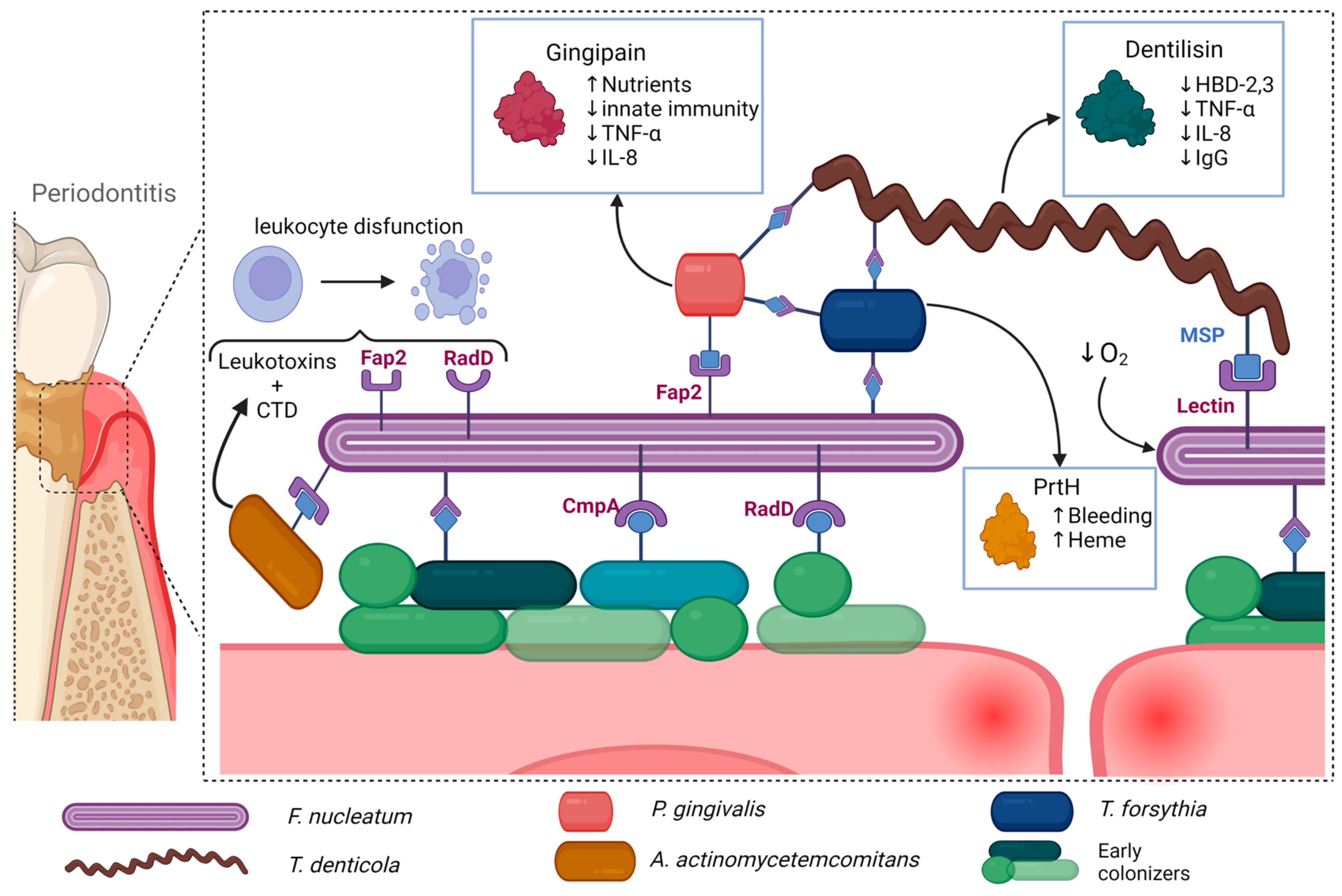 Microorganisms 11 01832 g001