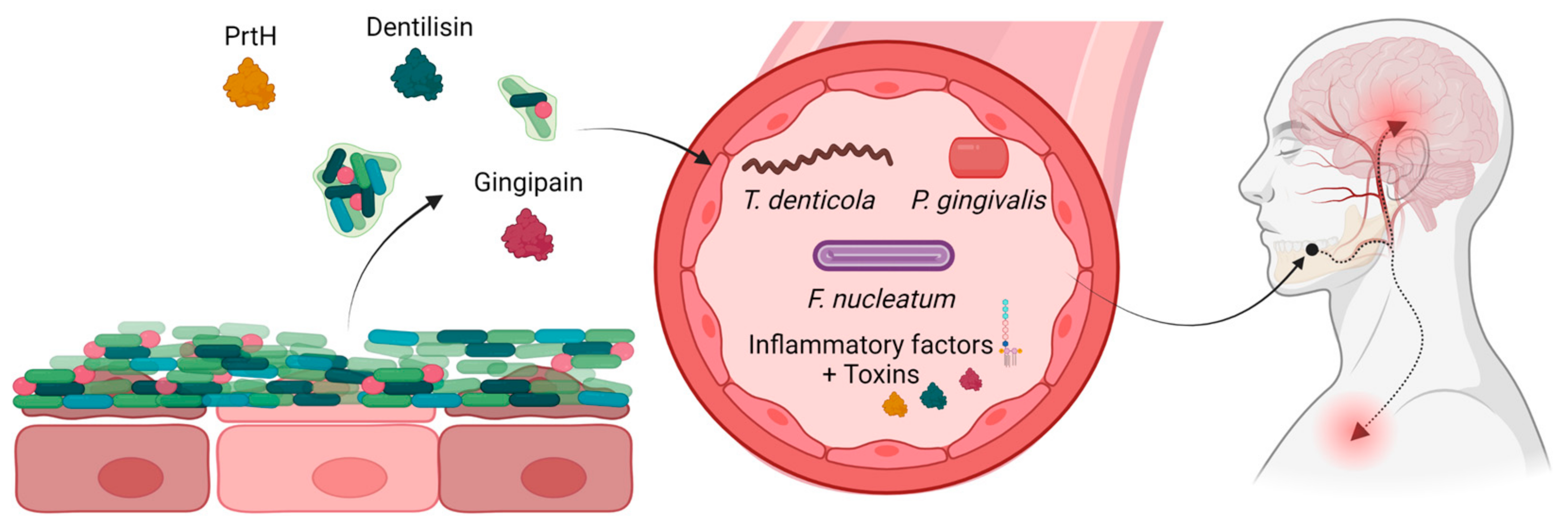 Microorganisms 11 01832 g002