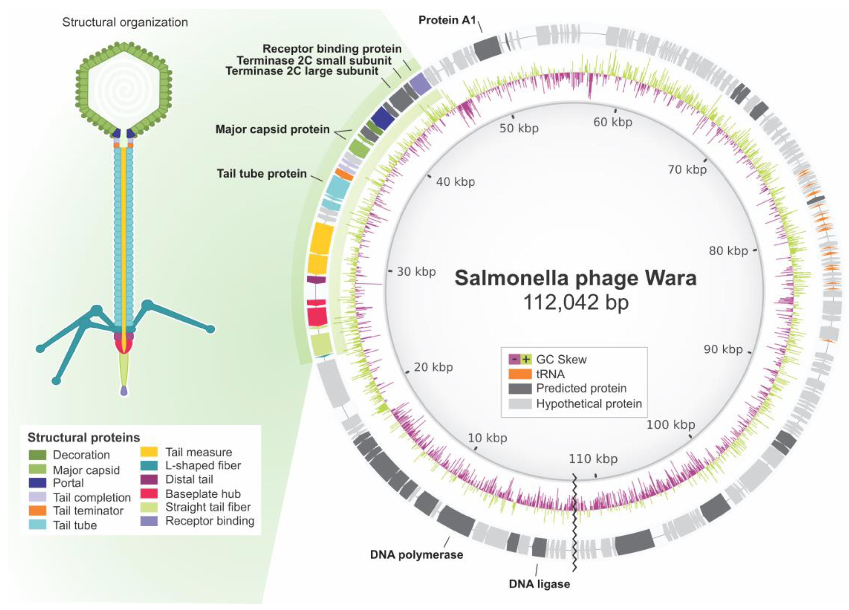 Microorganisms 11 01837 g002