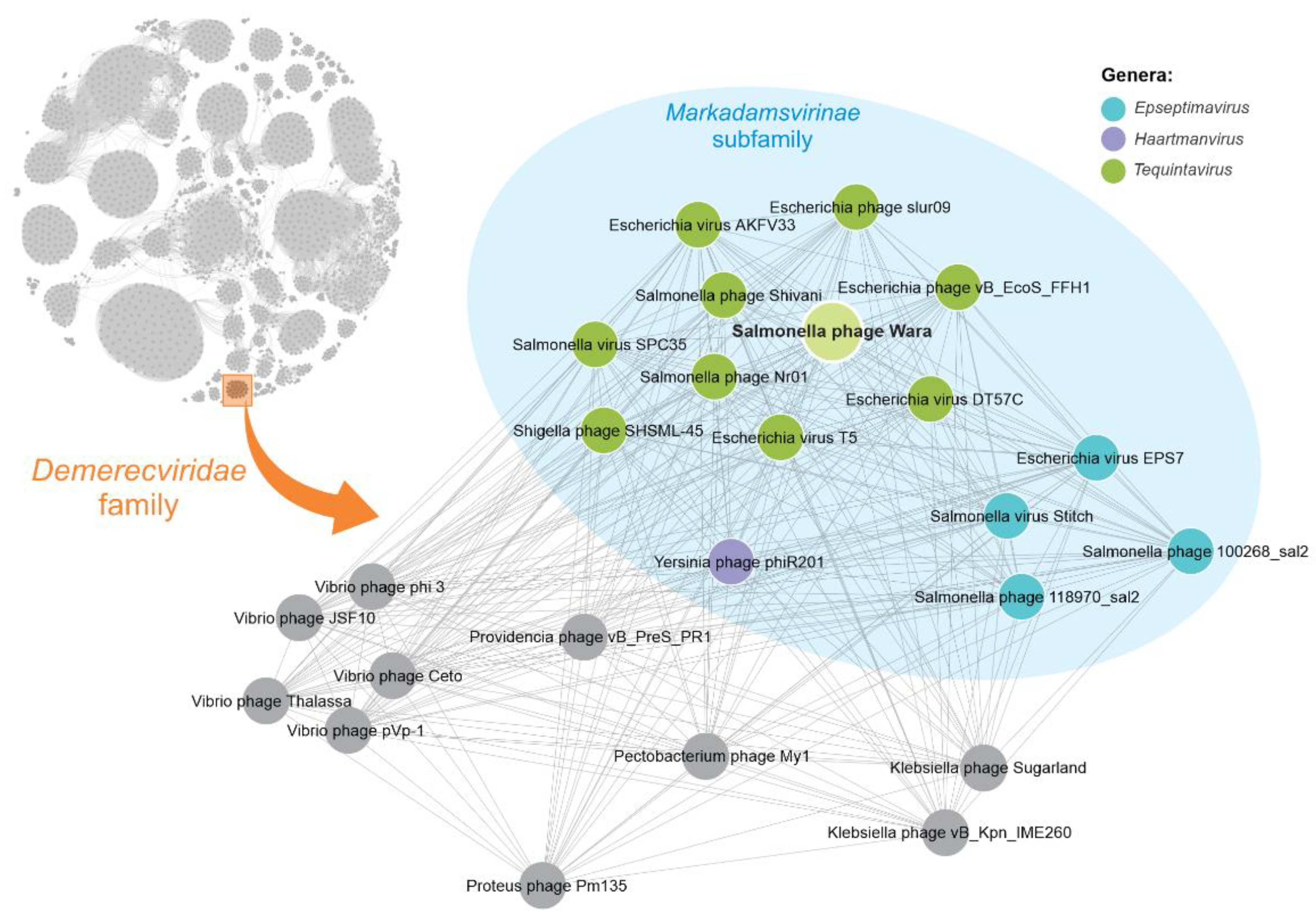 Microorganisms 11 01837 g003
