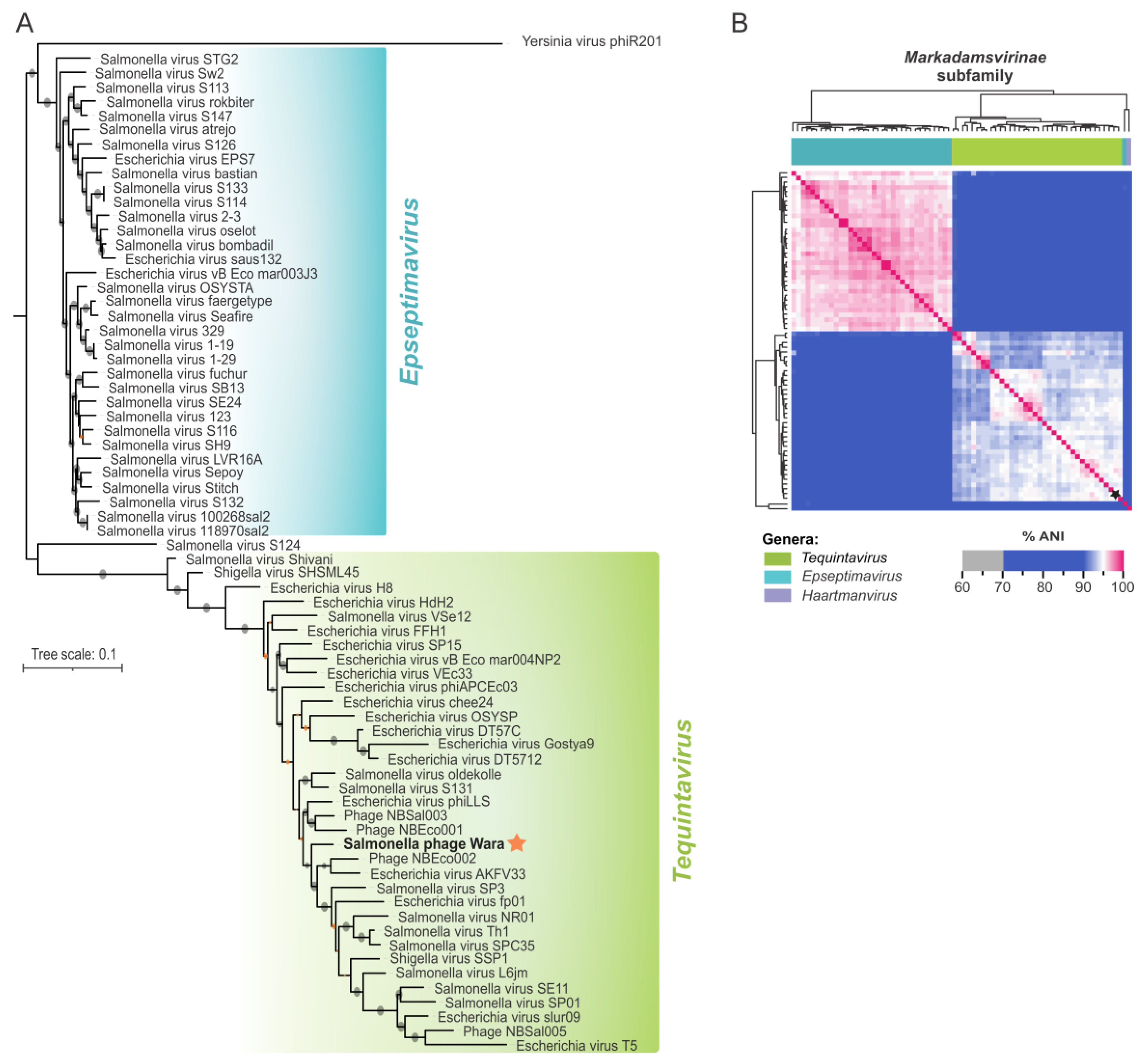 Microorganisms 11 01837 g004