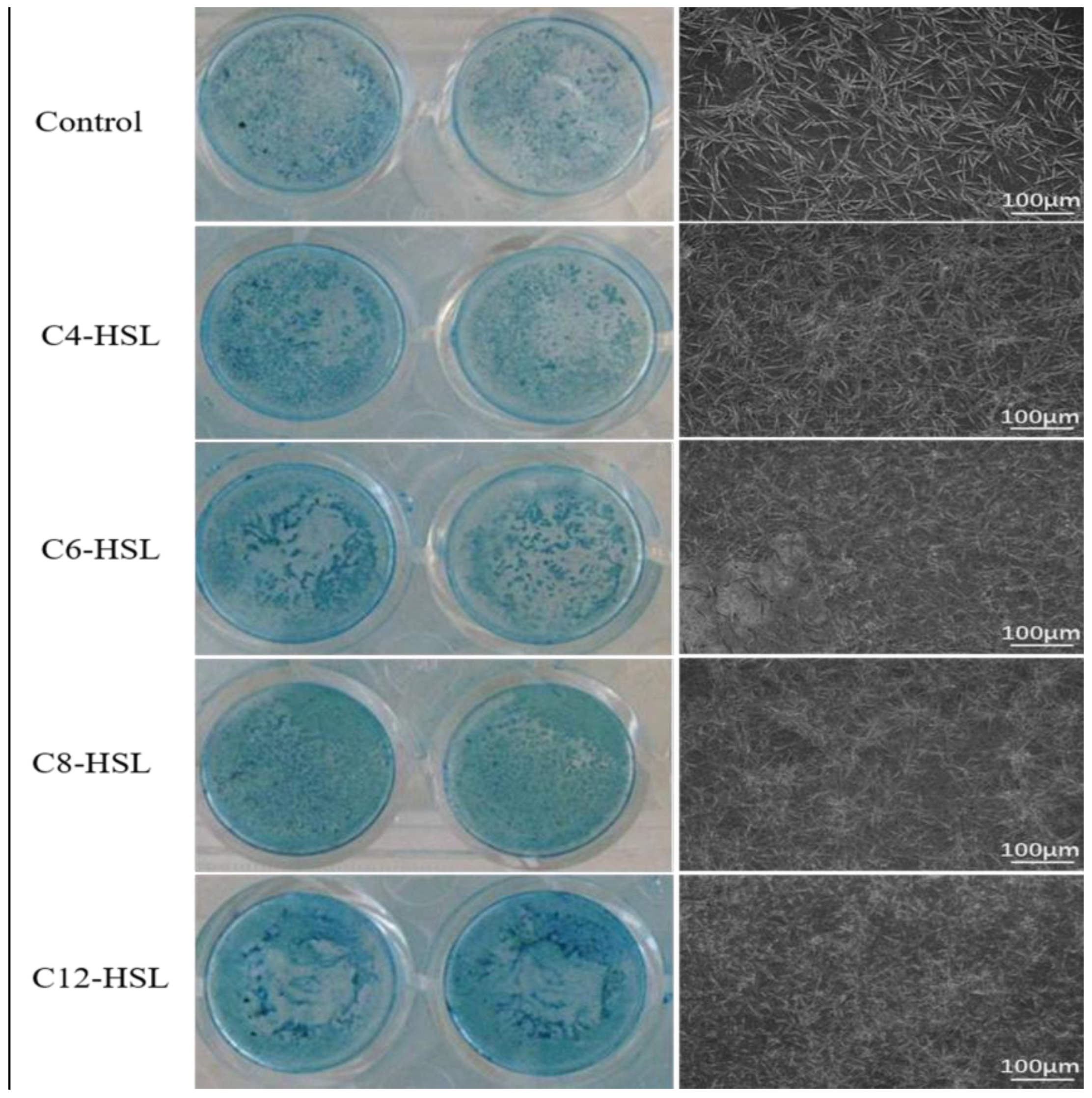 Microorganisms 11 01841 g003