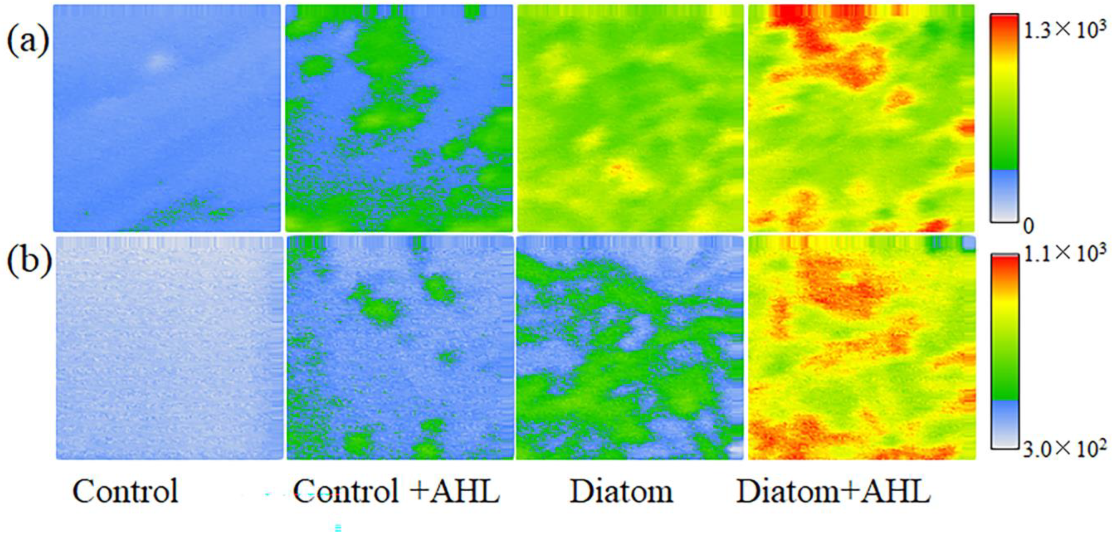 Microorganisms 11 01841 g005