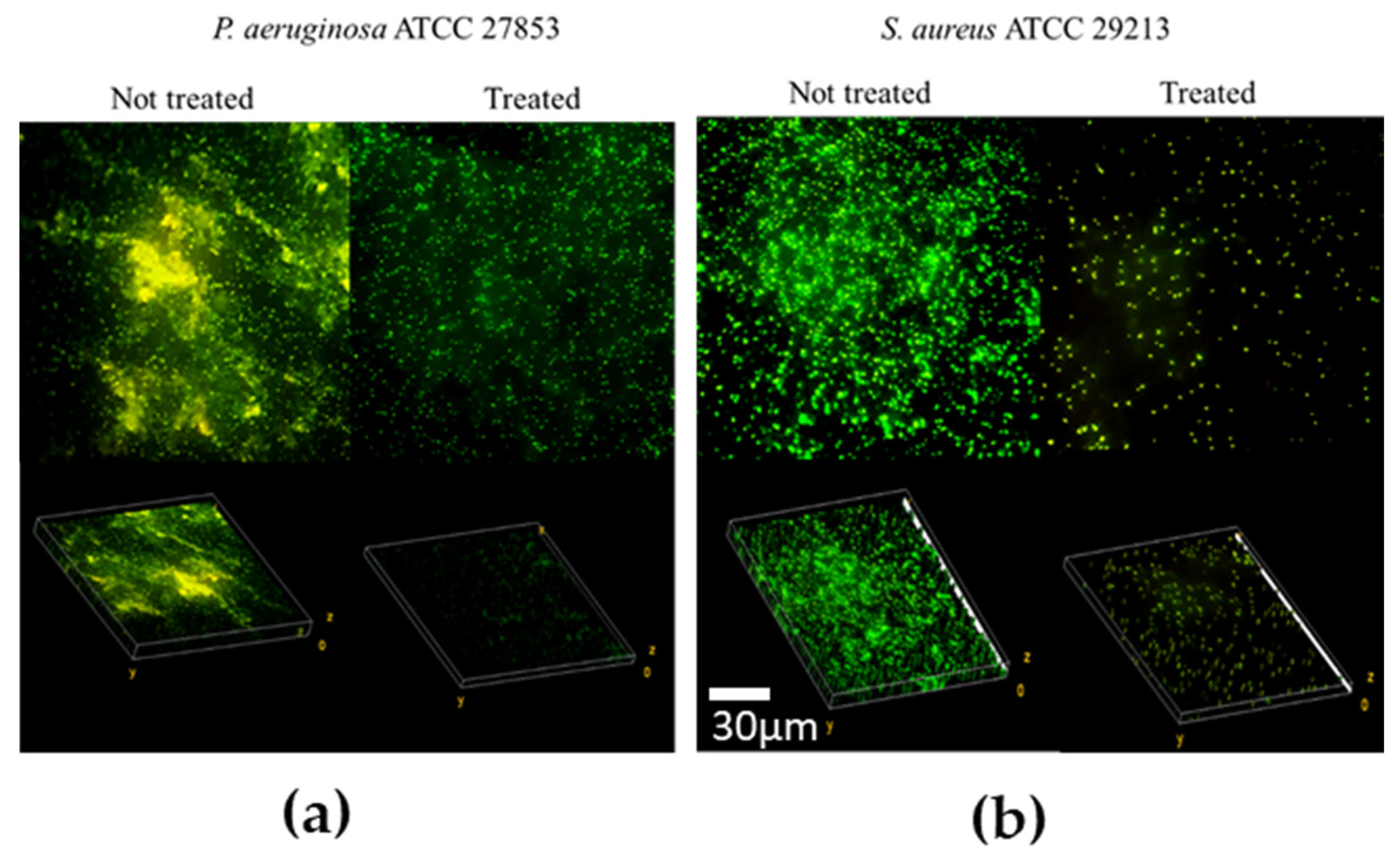 Microorganisms 11 01842 g008