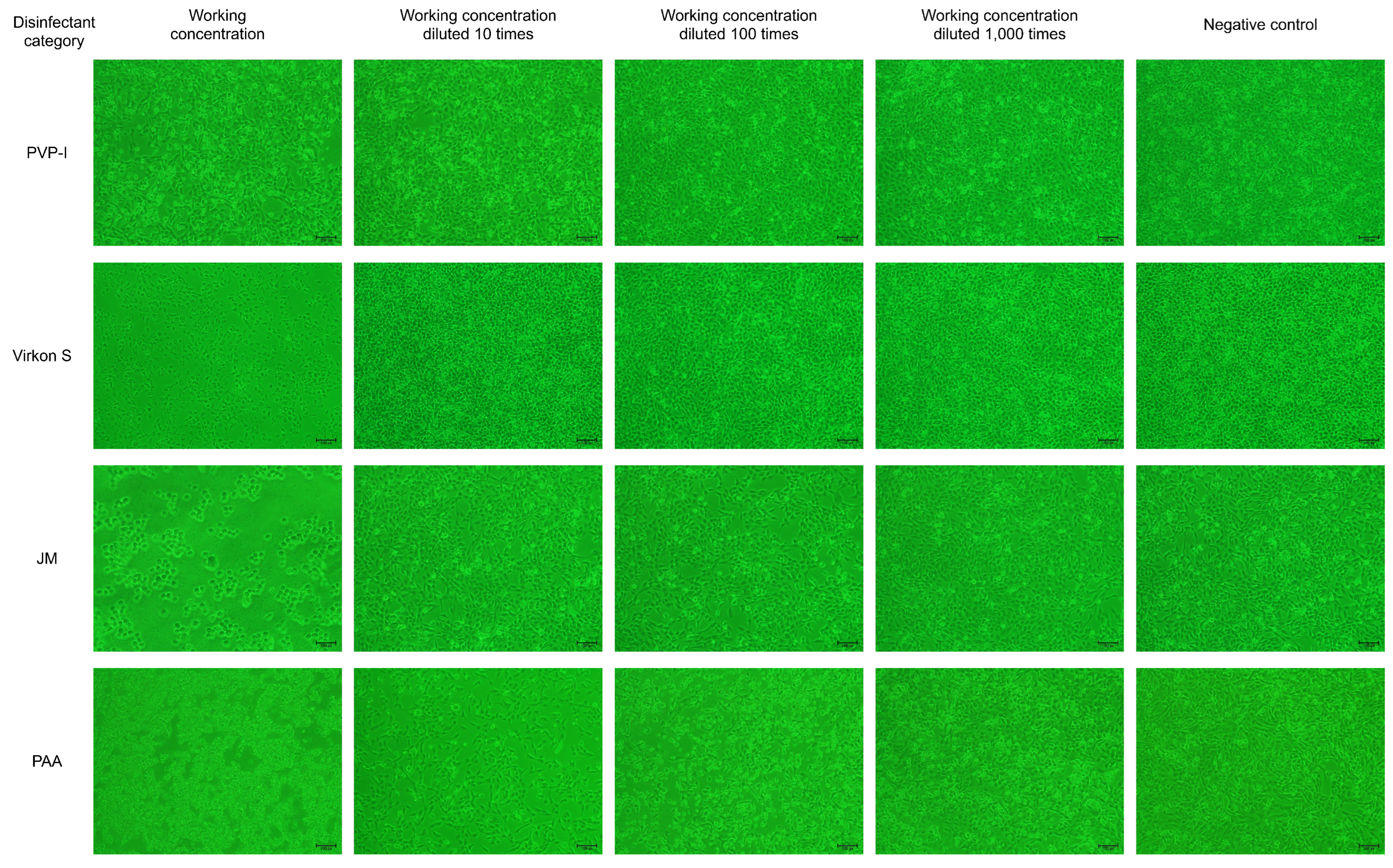 Microorganisms 11 01844 g002