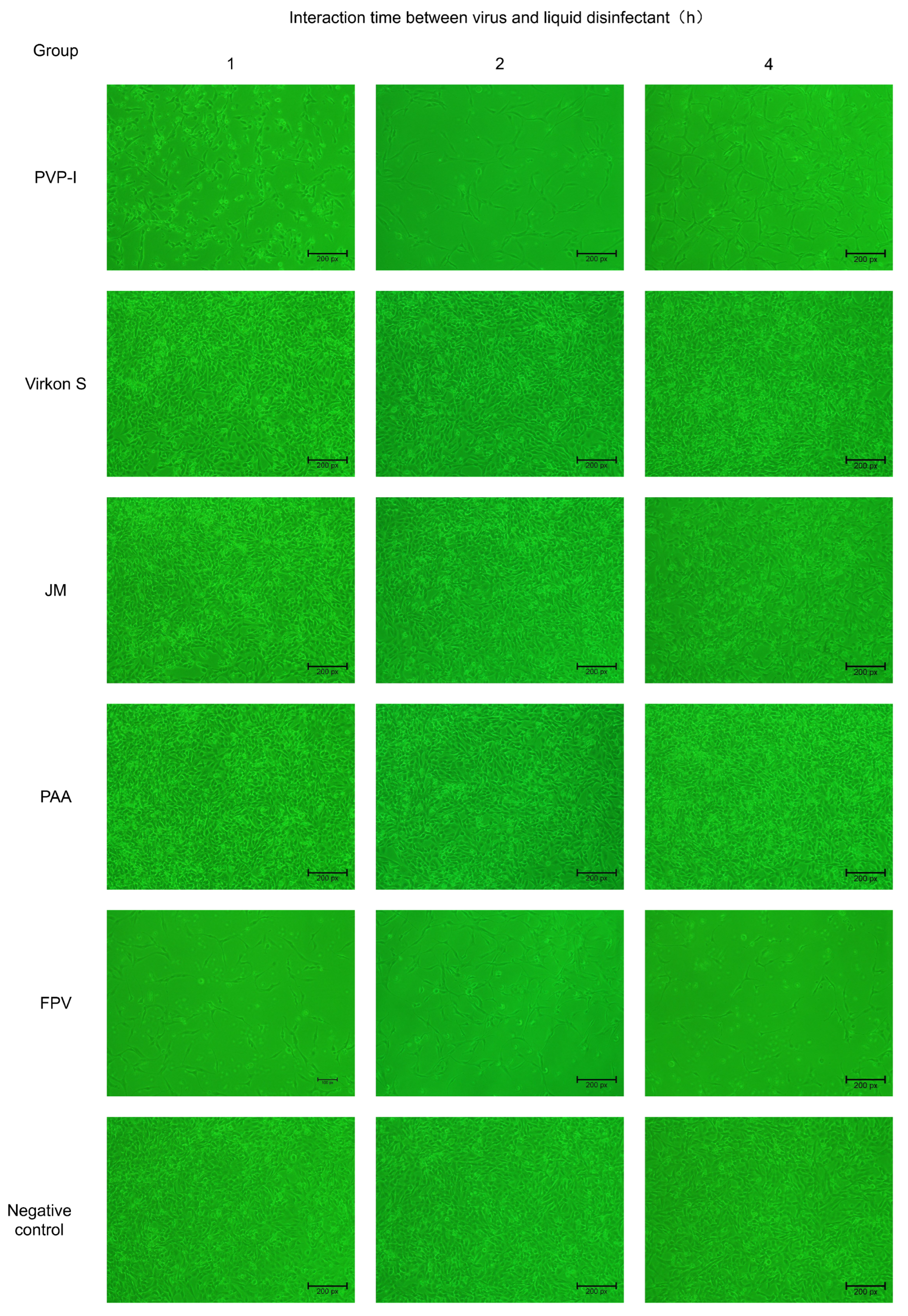 Microorganisms 11 01844 g003
