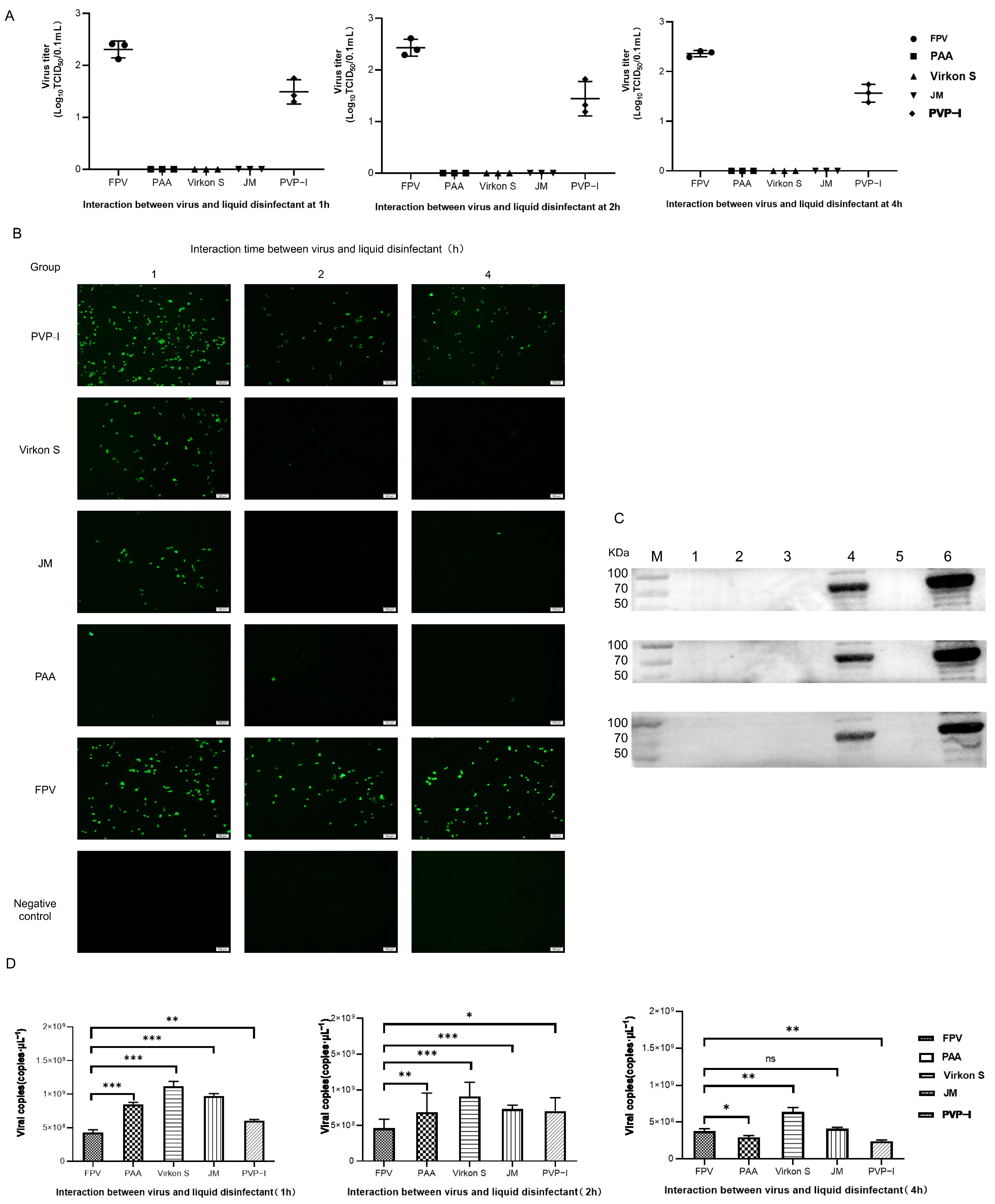 Microorganisms 11 01844 g004