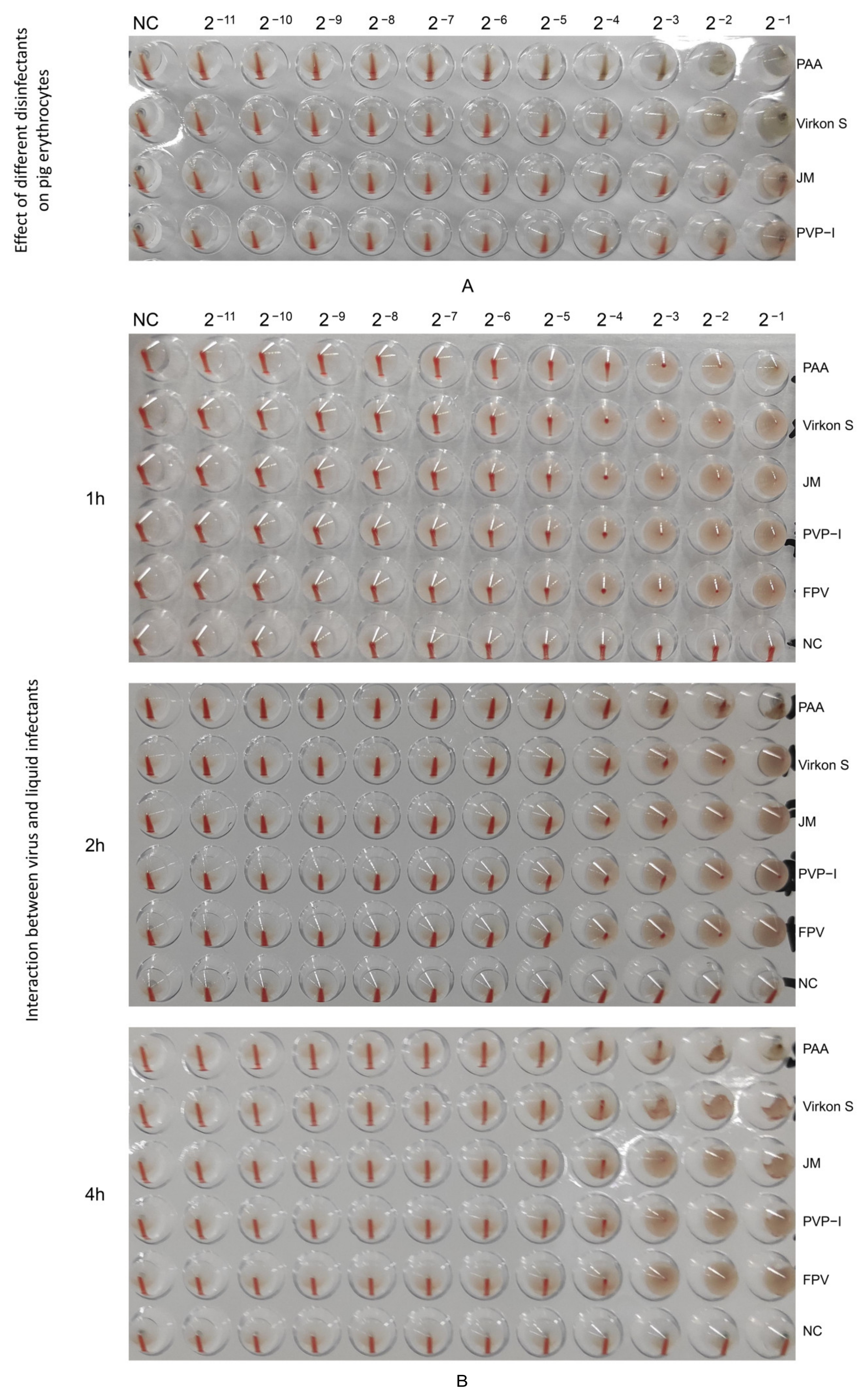 Microorganisms 11 01844 g006