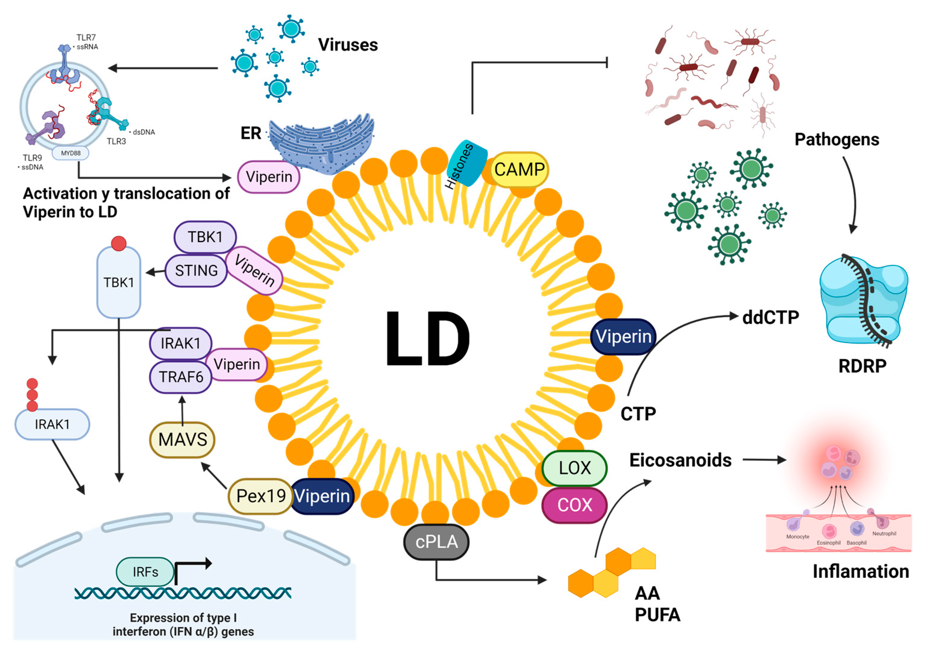 Microorganisms 11 01851 g002