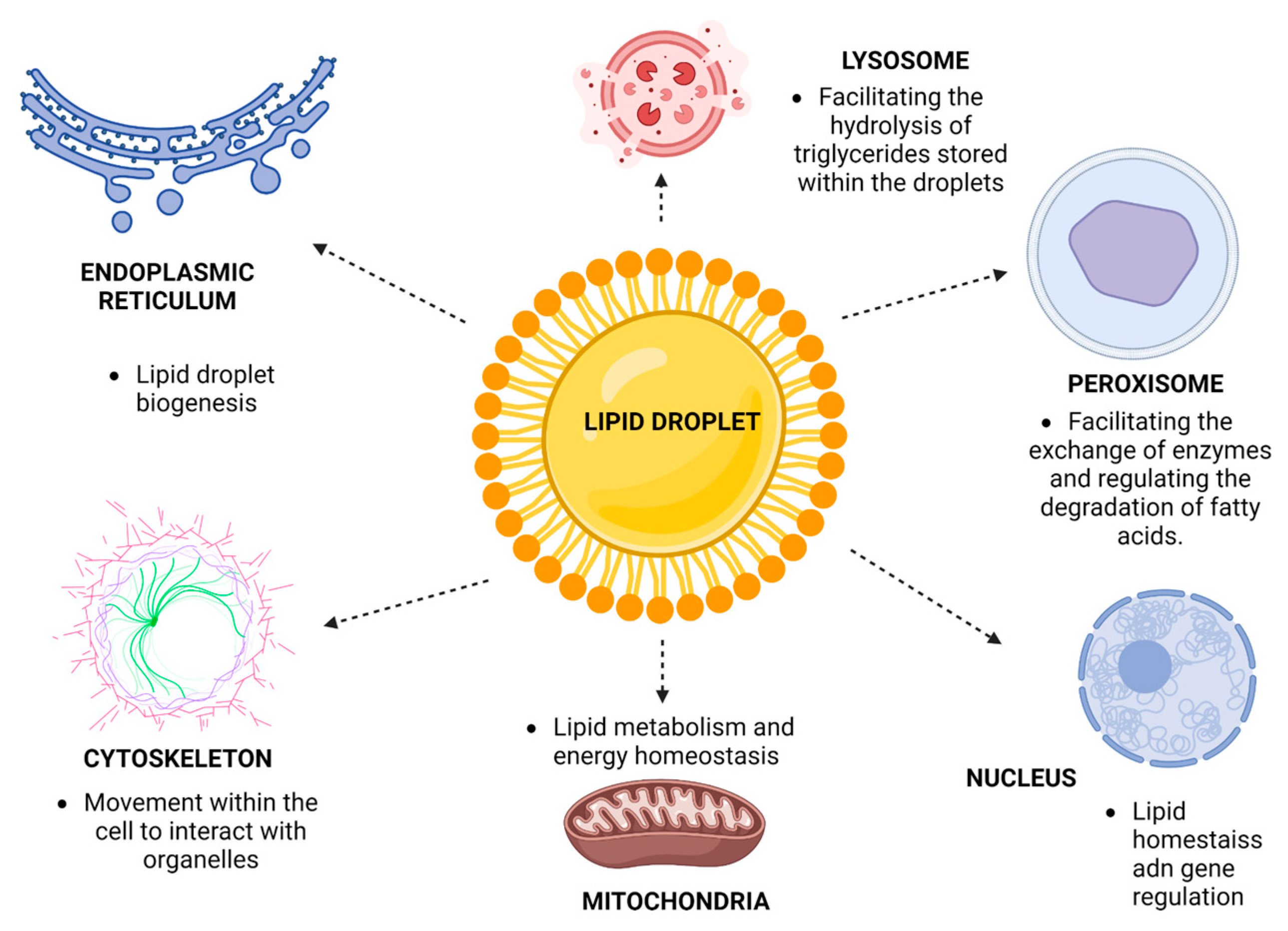 Microorganisms 11 01851 g003