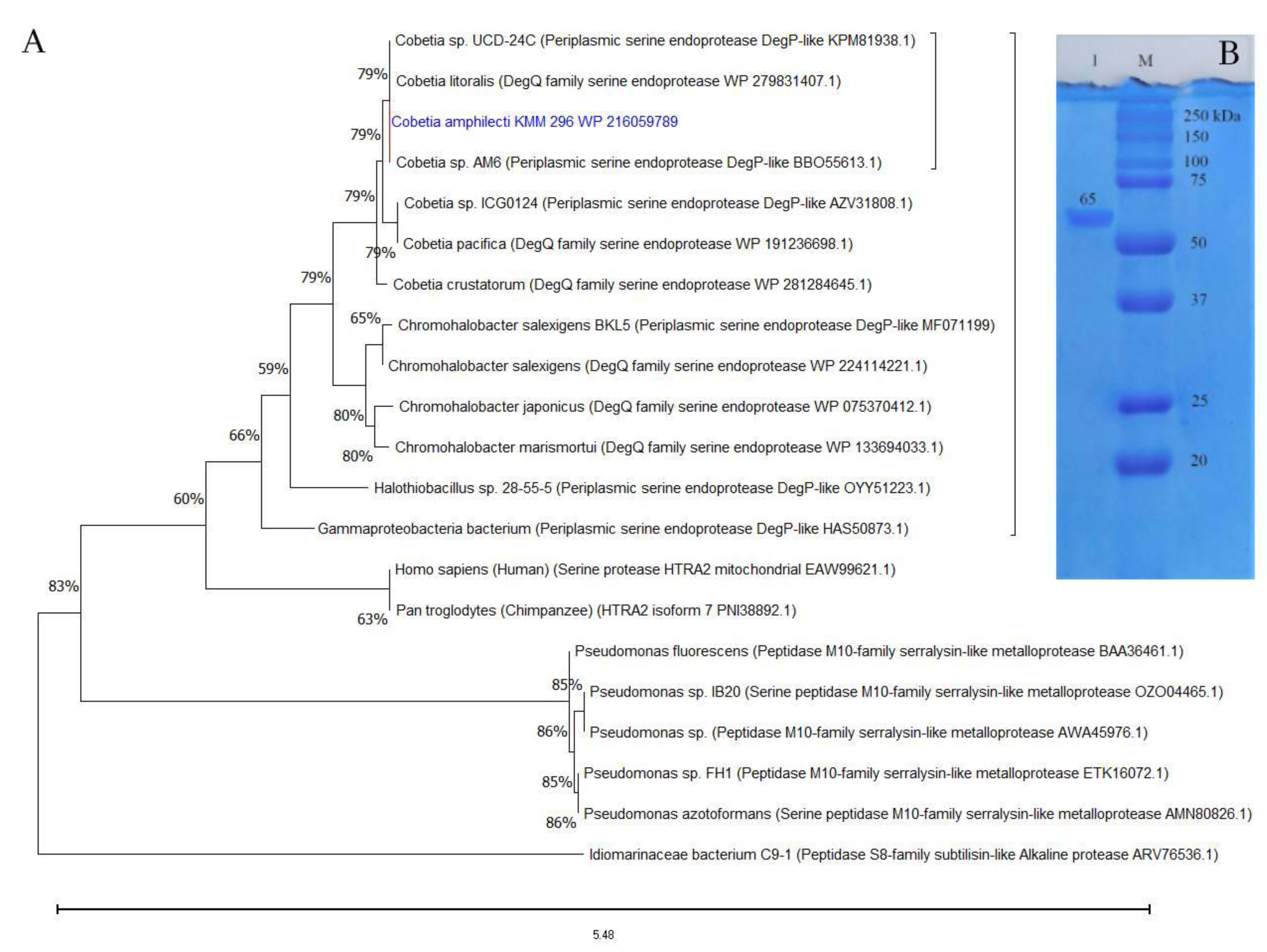 Microorganisms 11 01852 g001