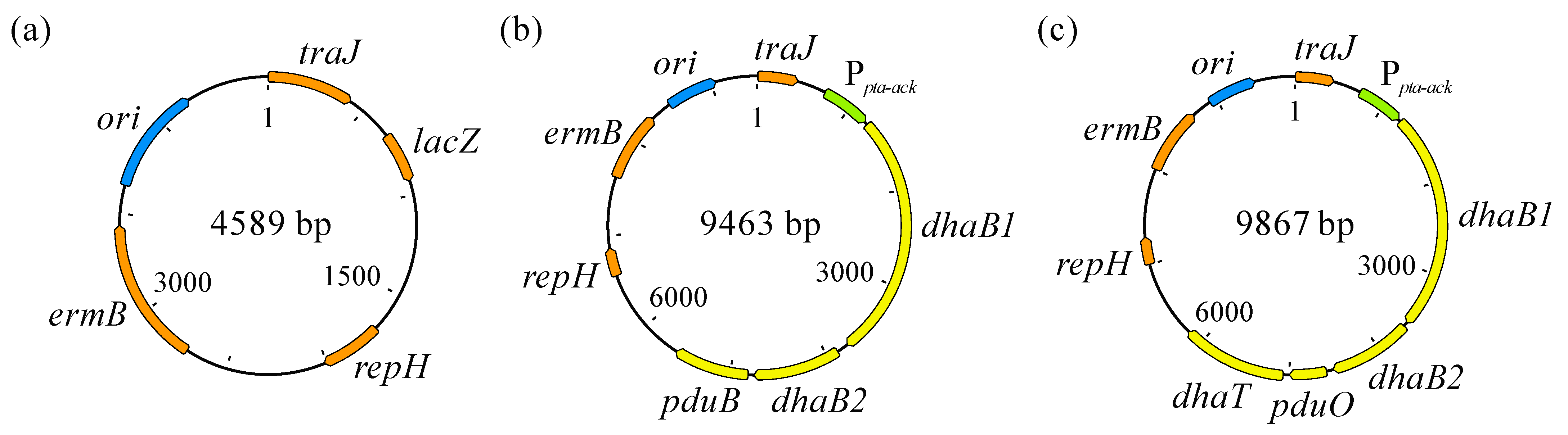 Microorganisms 11 01855 g003