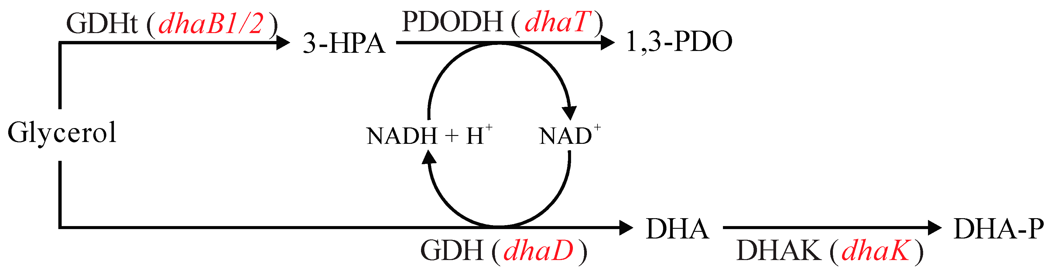 Microorganisms 11 01855 g006