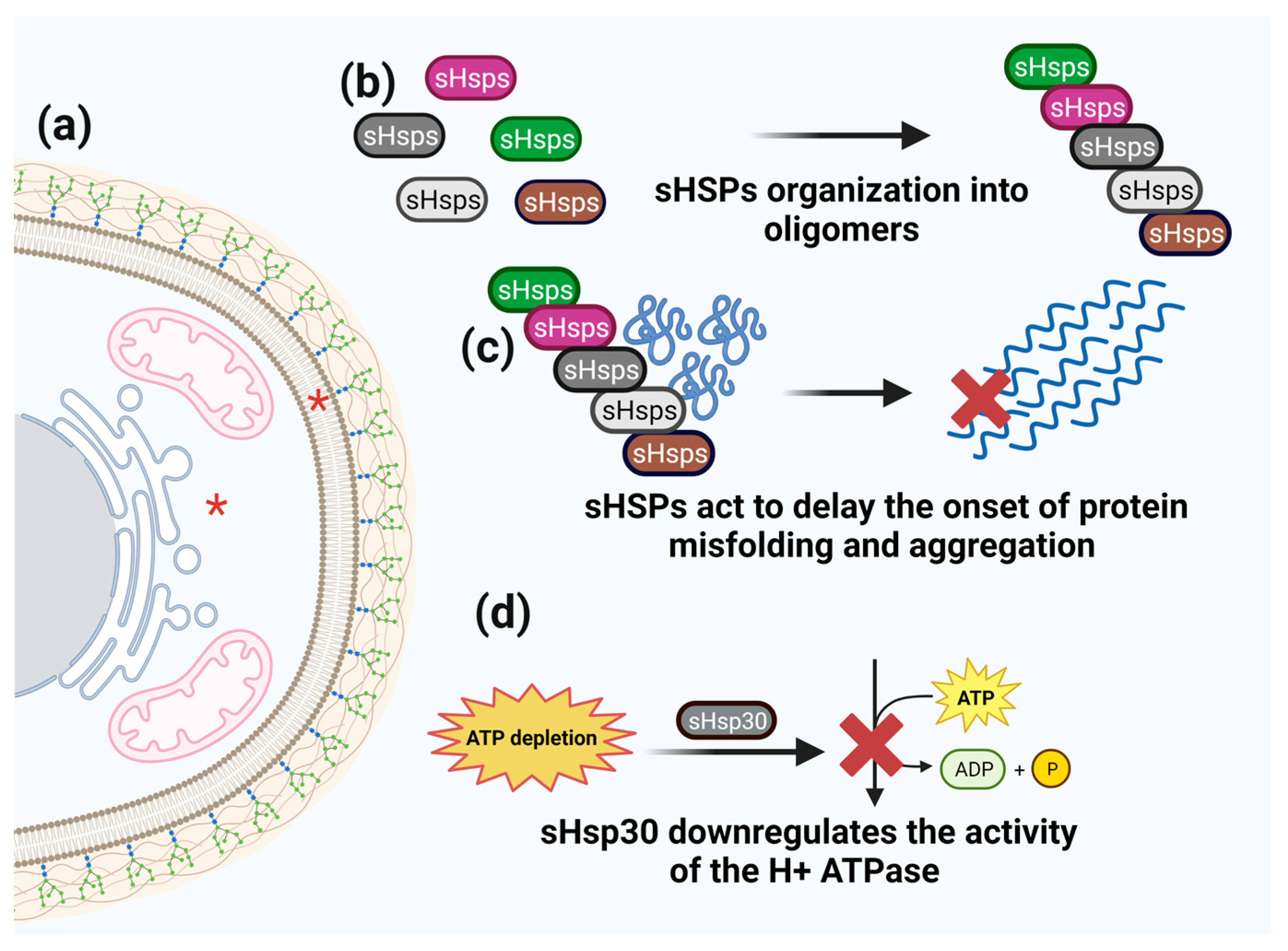Microorganisms 11 01878 g002 Microorganisms 11 01878 g002