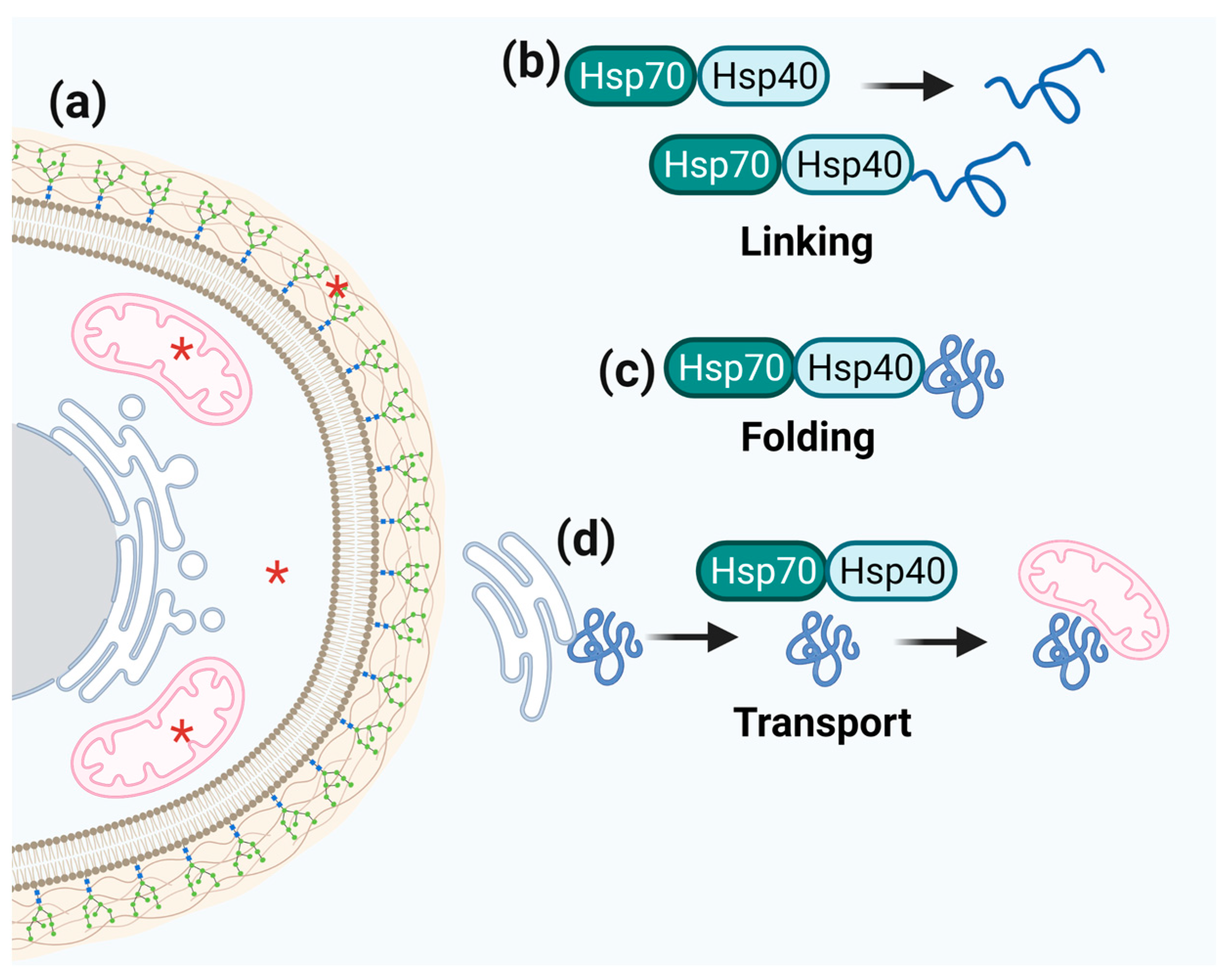 Microorganisms 11 01878 g005 Microorganisms 11 01878 g005