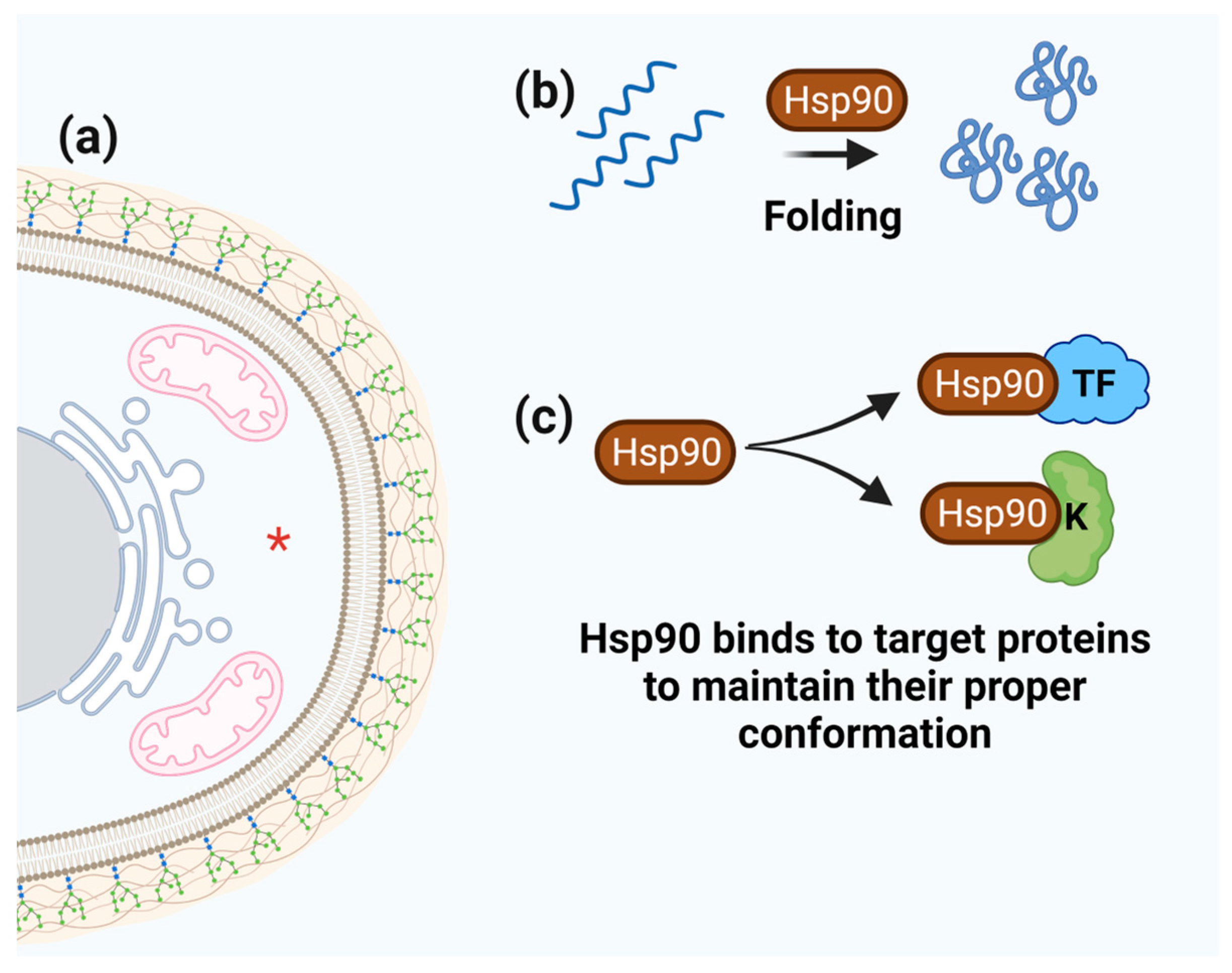 Microorganisms 11 01878 g006 Microorganisms 11 01878 g006