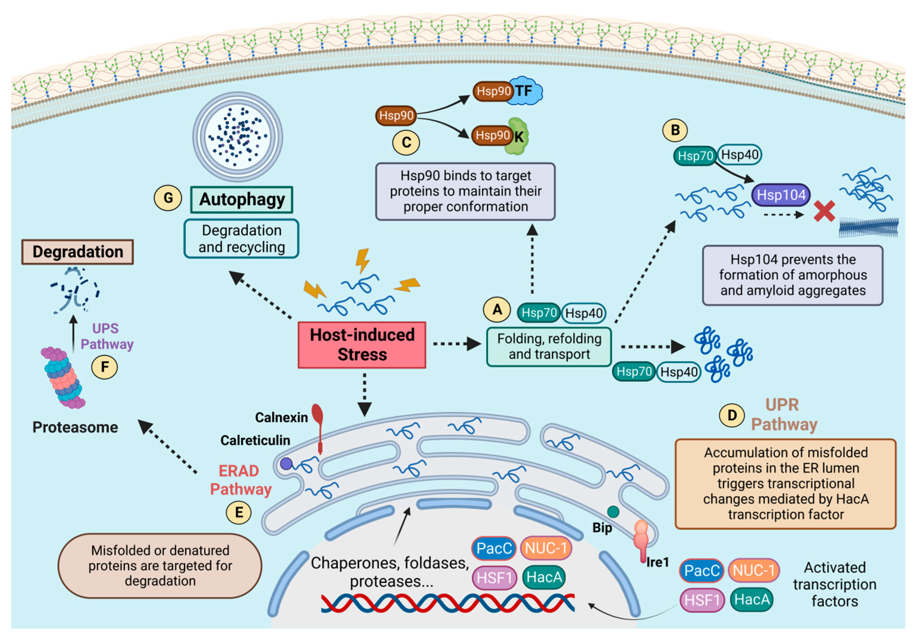 Microorganisms 11 01878 g008 Microorganisms 11 01878 g008