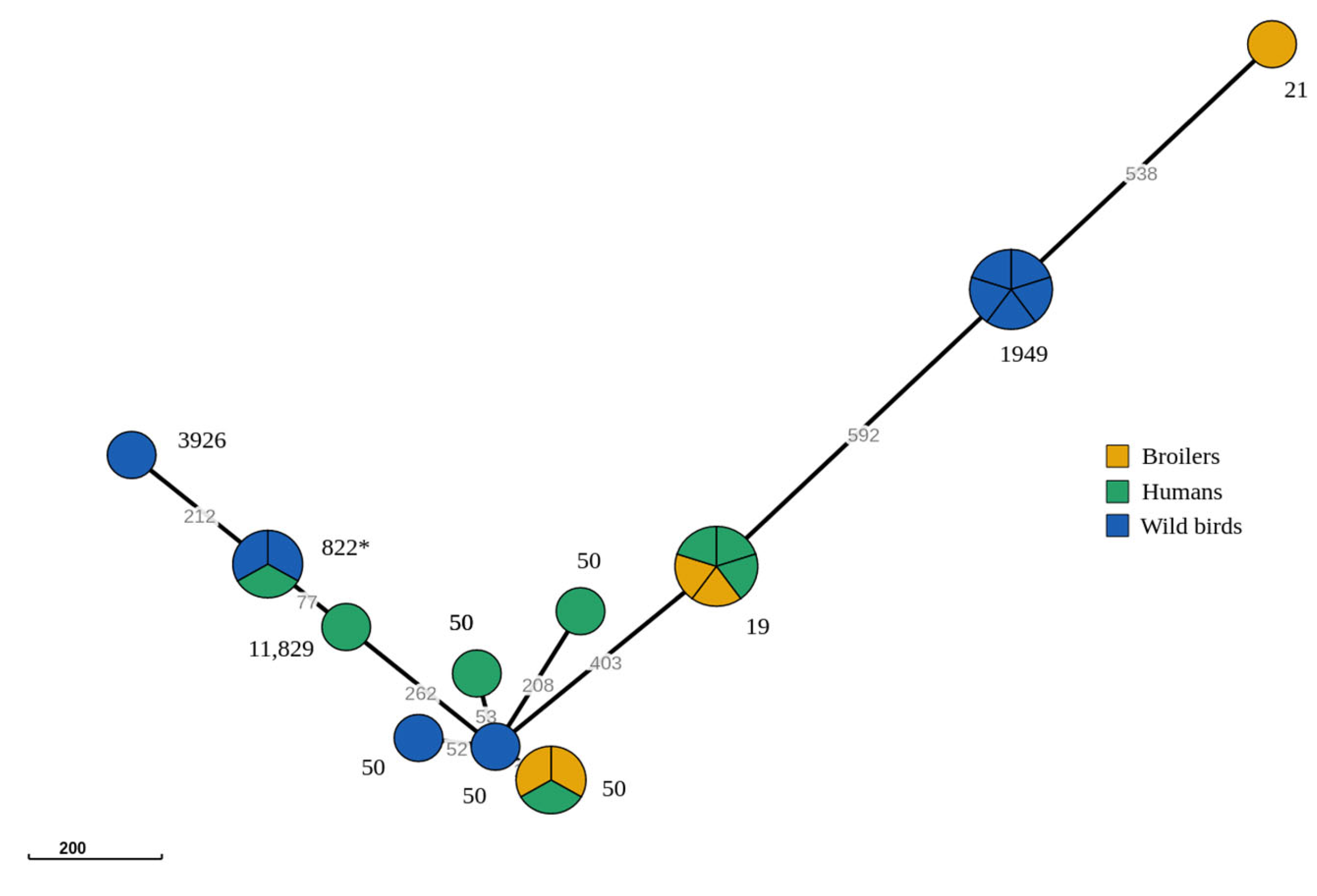 Microorganisms 11 01884 g001