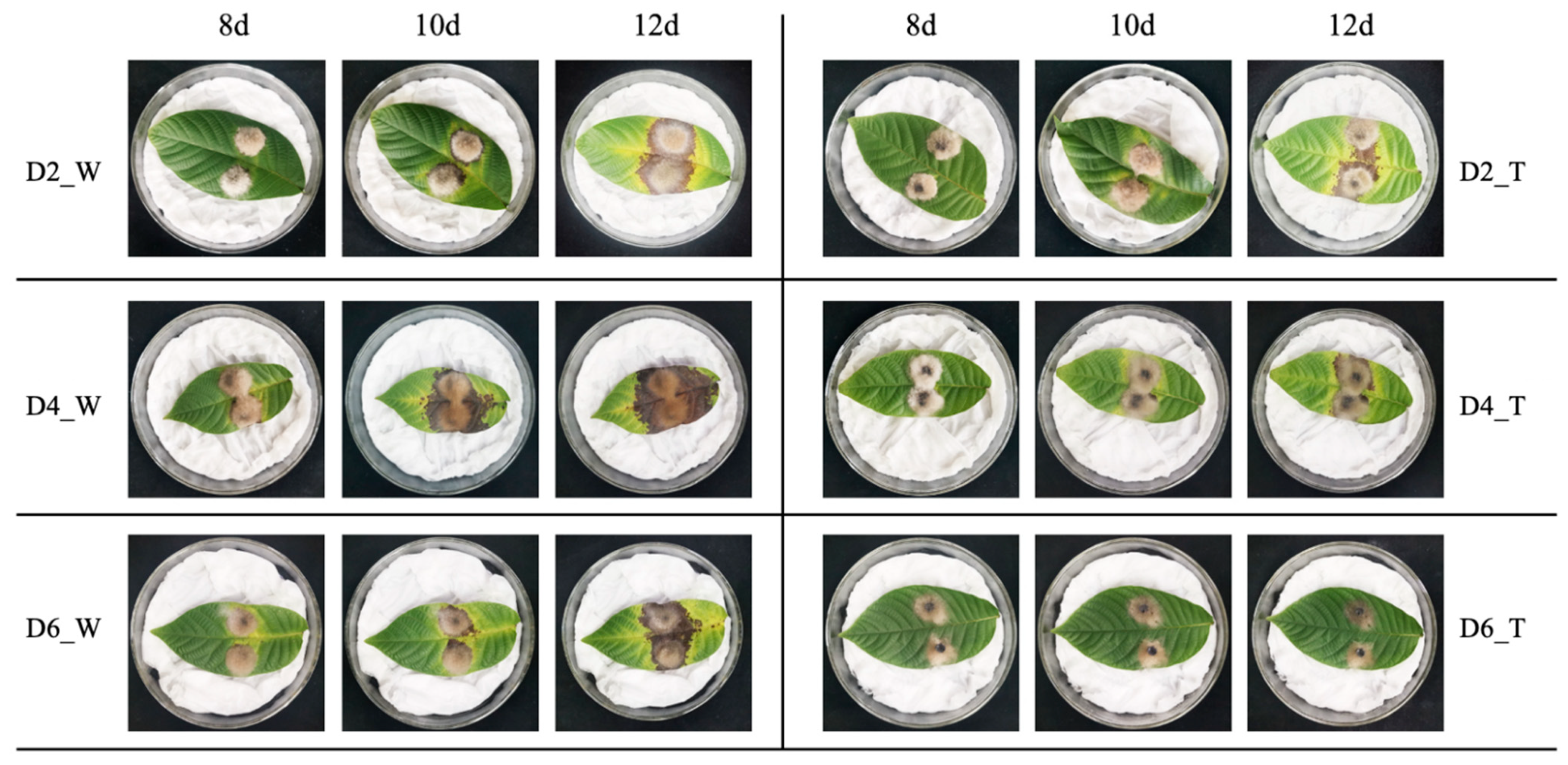 Microorganisms 11 01885 g003 Microorganisms 11 01885 g003