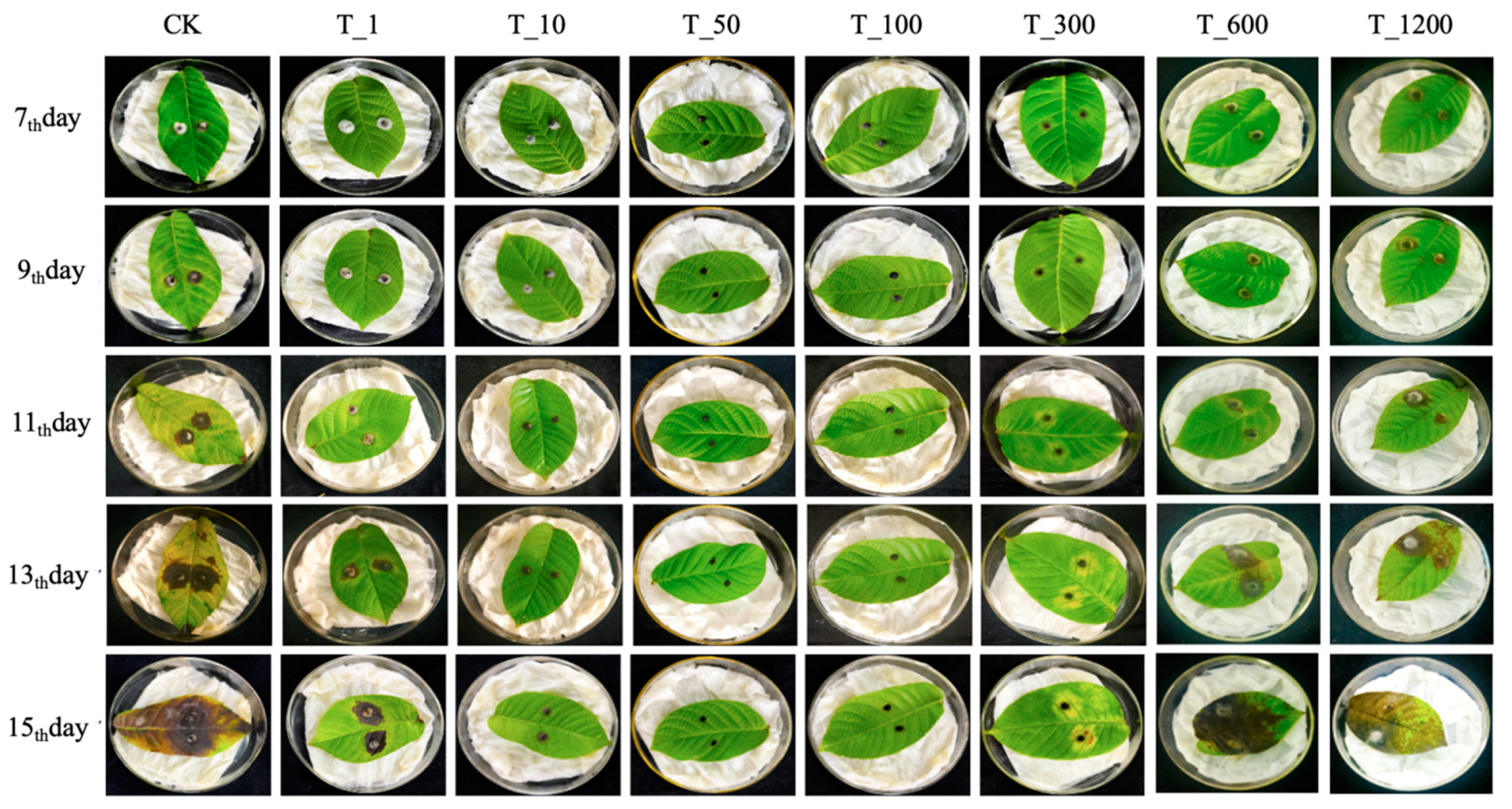 Microorganisms 11 01885 g005 Microorganisms 11 01885 g005