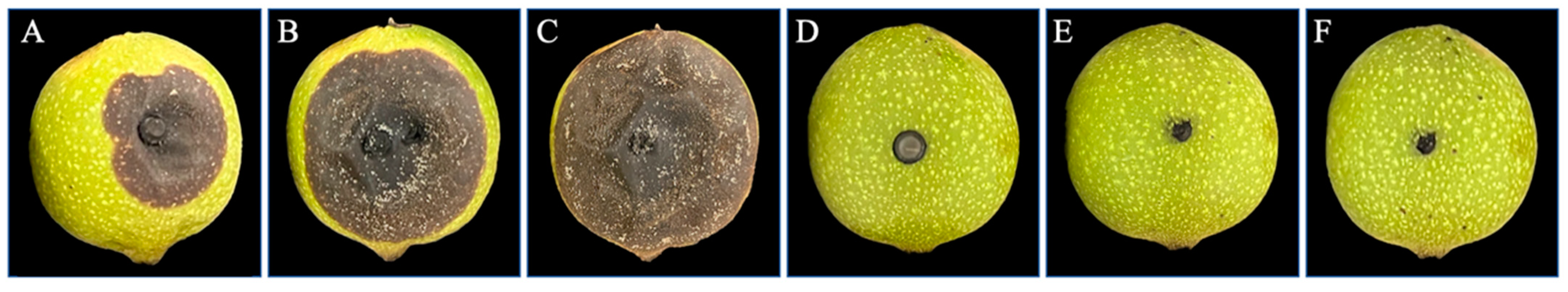 Microorganisms 11 01885 g009 Microorganisms 11 01885 g009