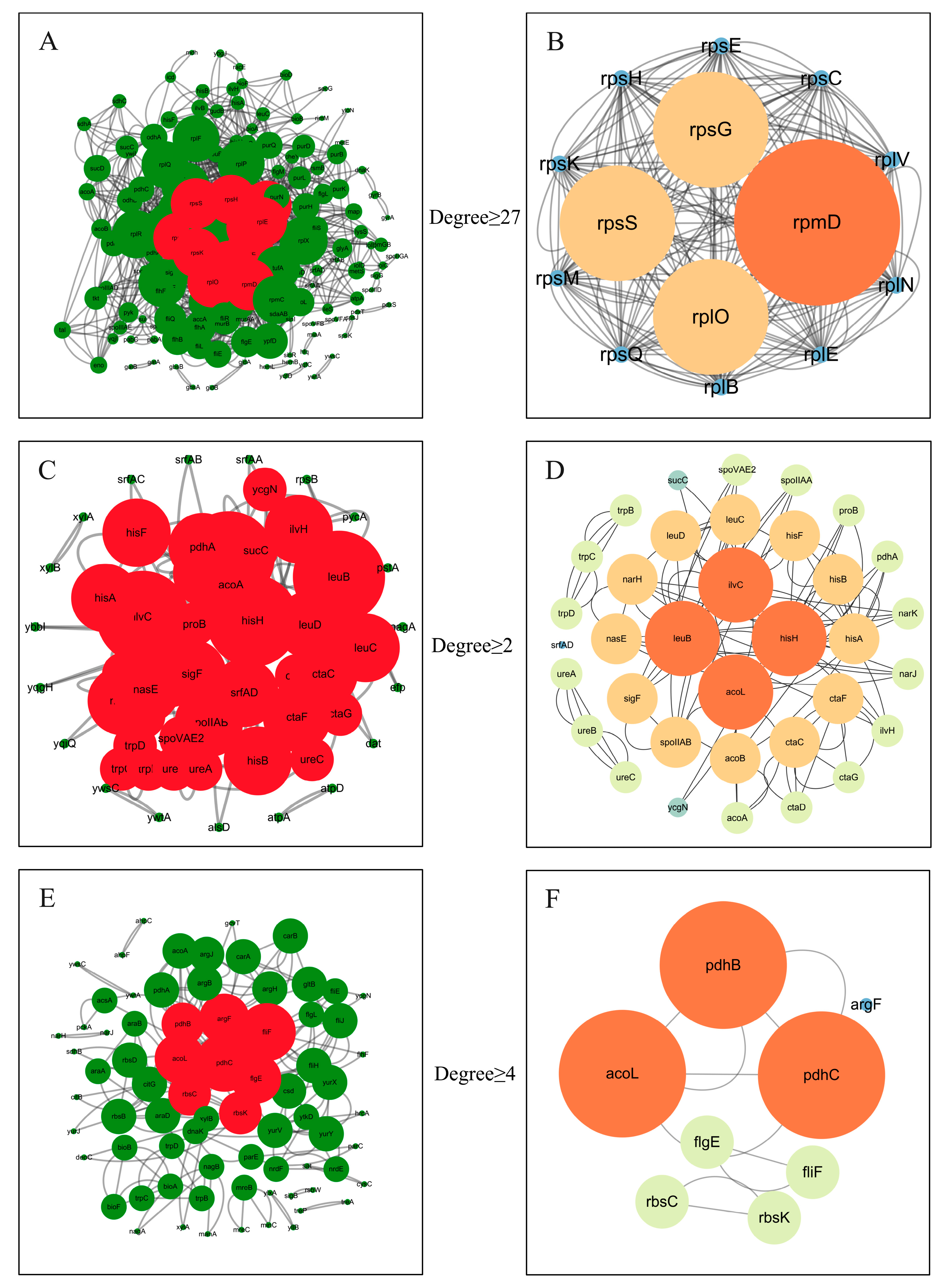 Microorganisms 11 01885 g012 Microorganisms 11 01885 g012