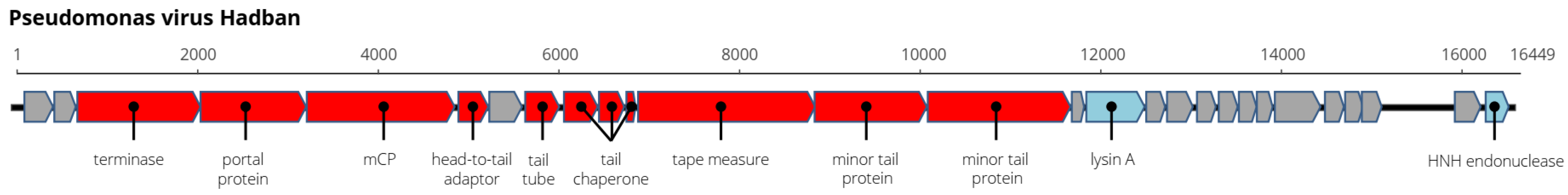 Microorganisms 11 01888 g002