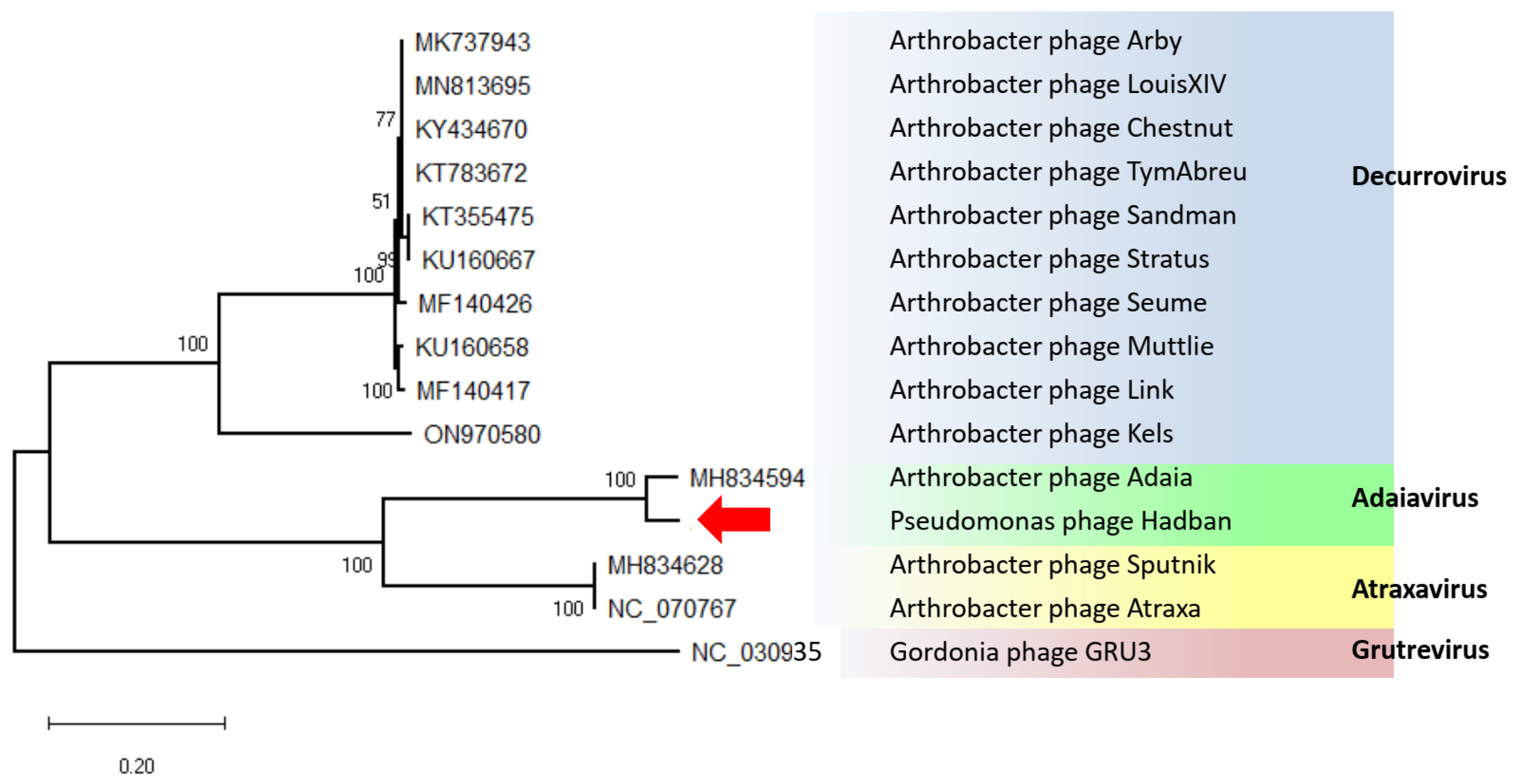 Microorganisms 11 01888 g003
