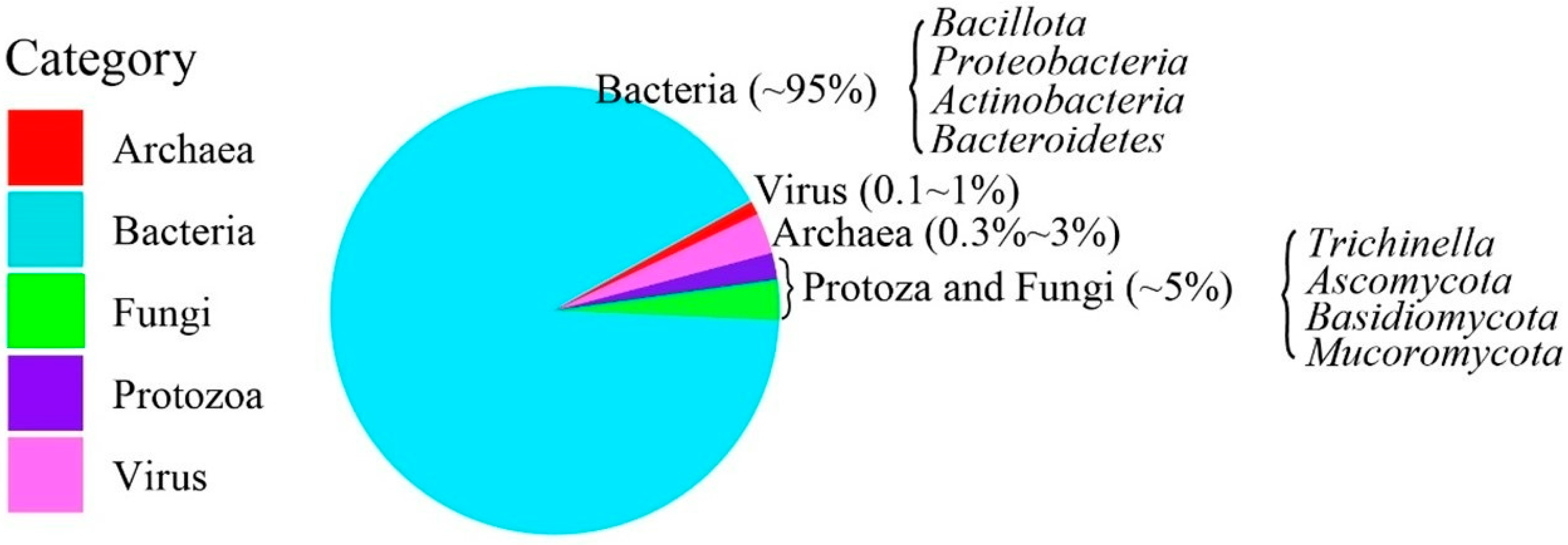 Microorganisms 11 01897 g001 Microorganisms 11 01897 g001
