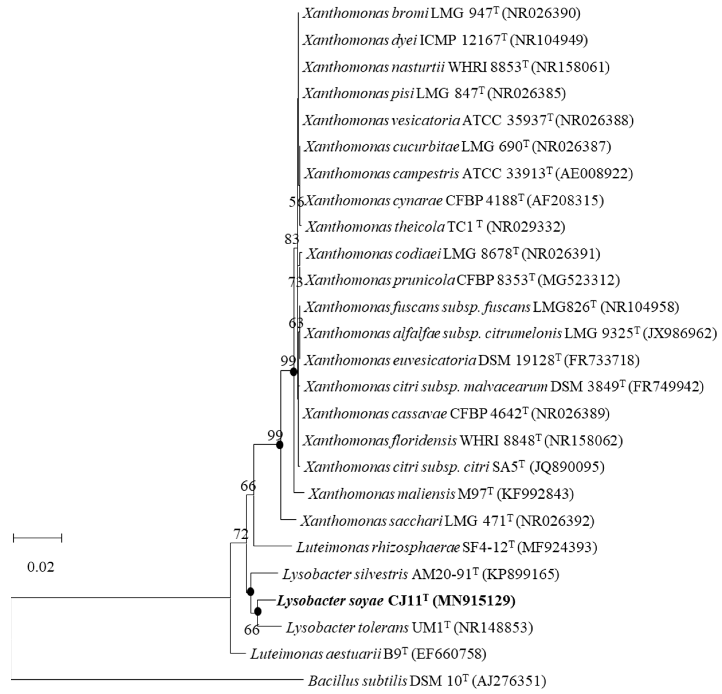 Microorganisms 11 01900 g001