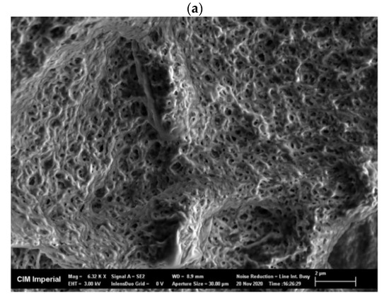 Microorganisms 11 01902 g0a2a Microorganisms 11 01902 g0a2a