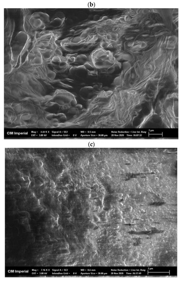 Microorganisms 11 01902 g0a2b
