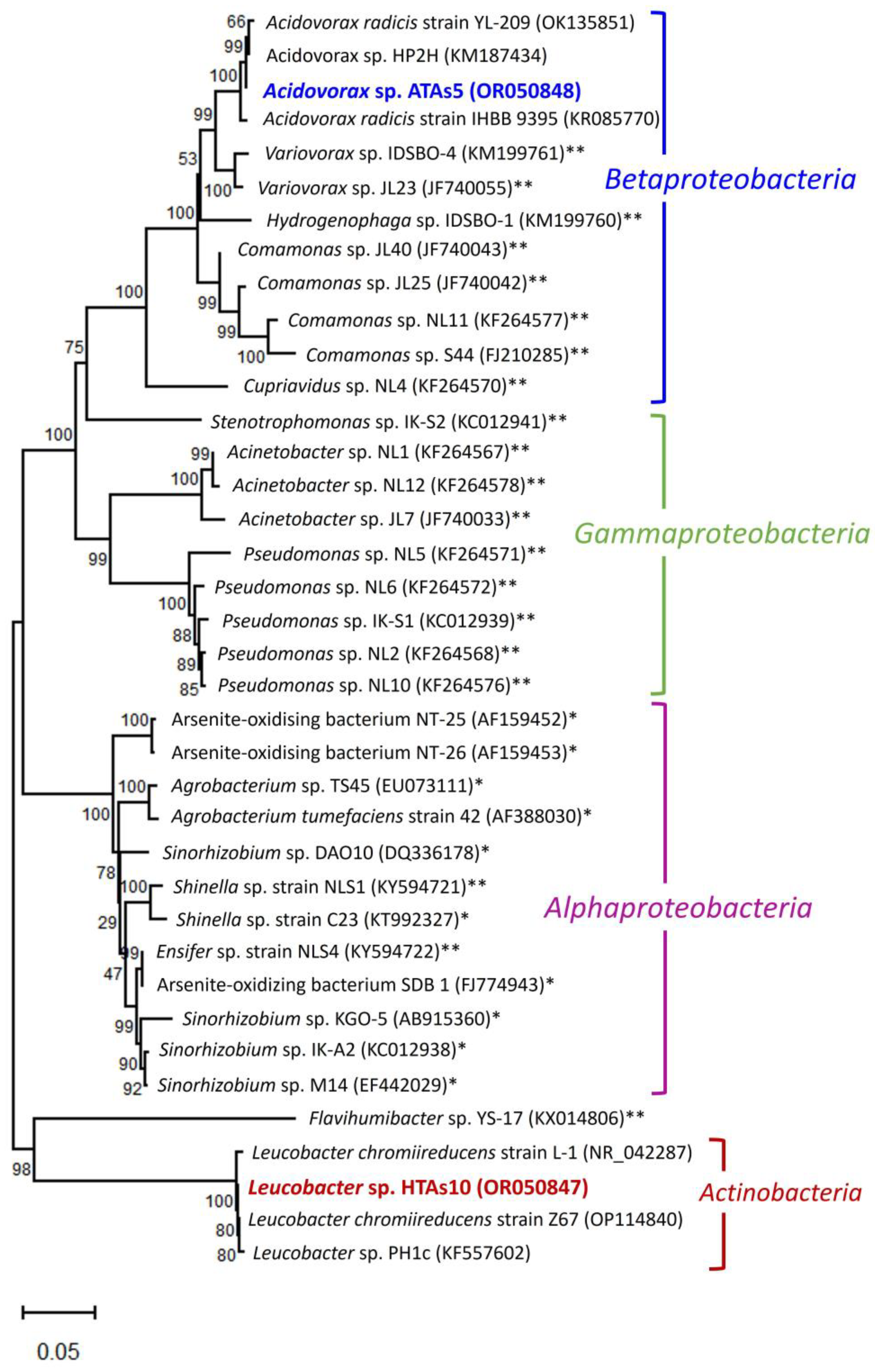 Microorganisms 11 01910 g006 Microorganisms 11 01910 g006