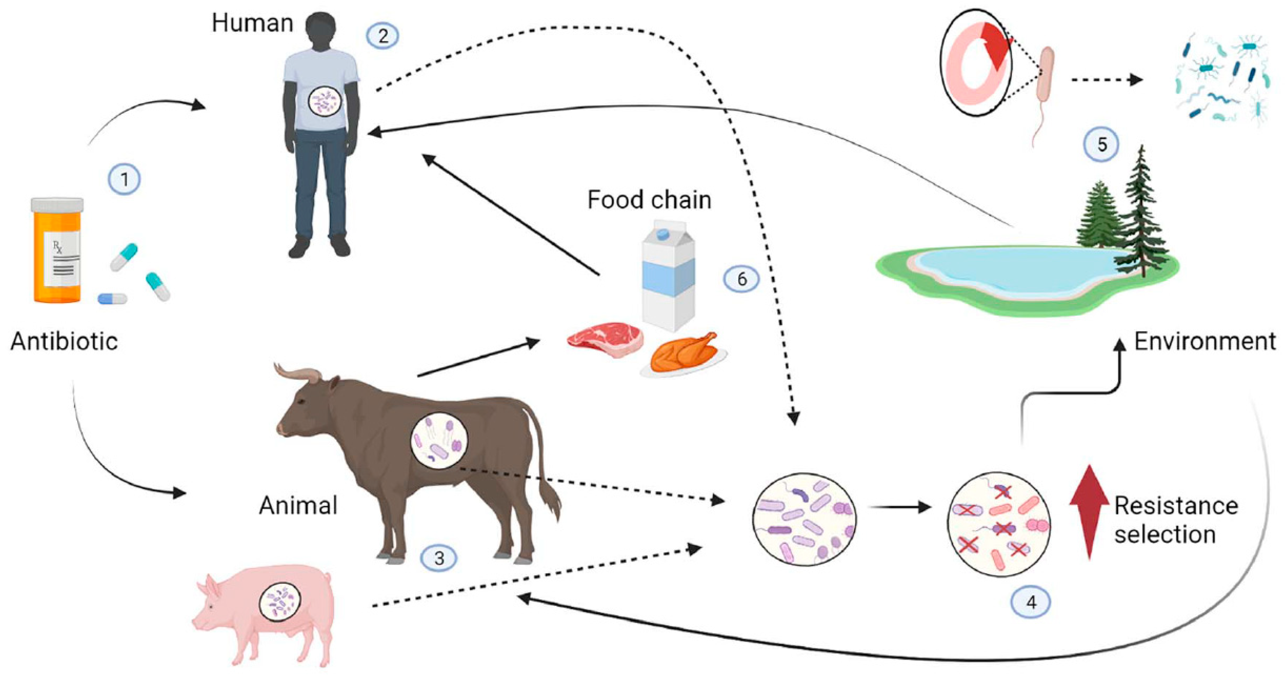 Microorganisms 11 01912 g001