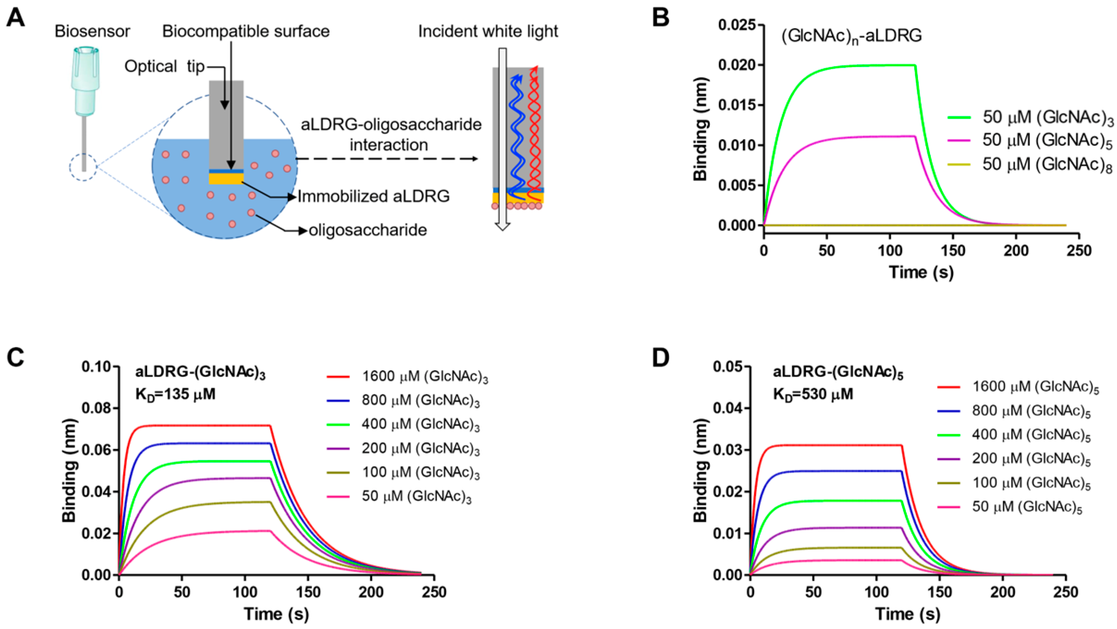 Microorganisms 11 01914 g006 Microorganisms 11 01914 g006