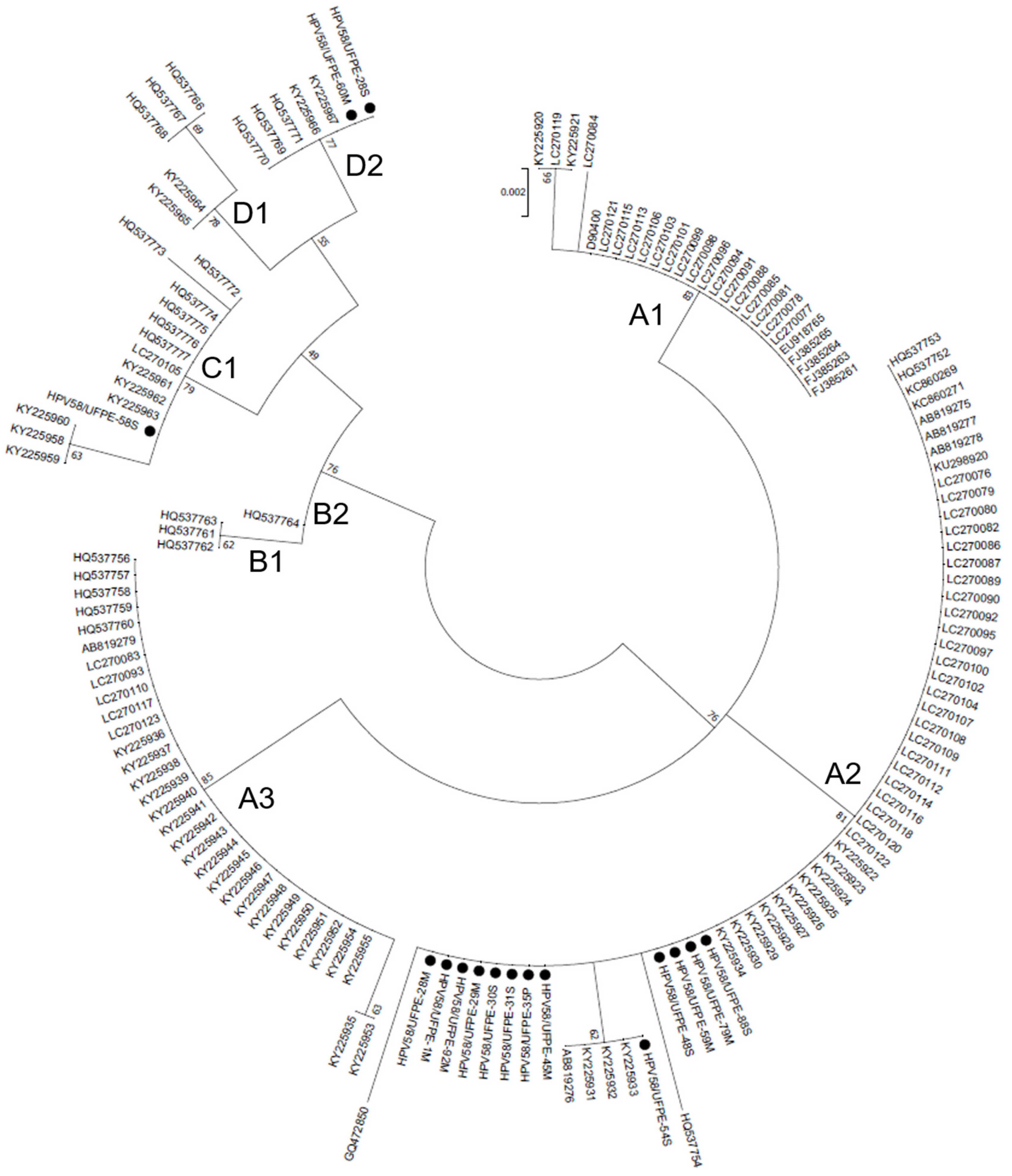 Microorganisms 11 01915 g001 Microorganisms 11 01915 g001