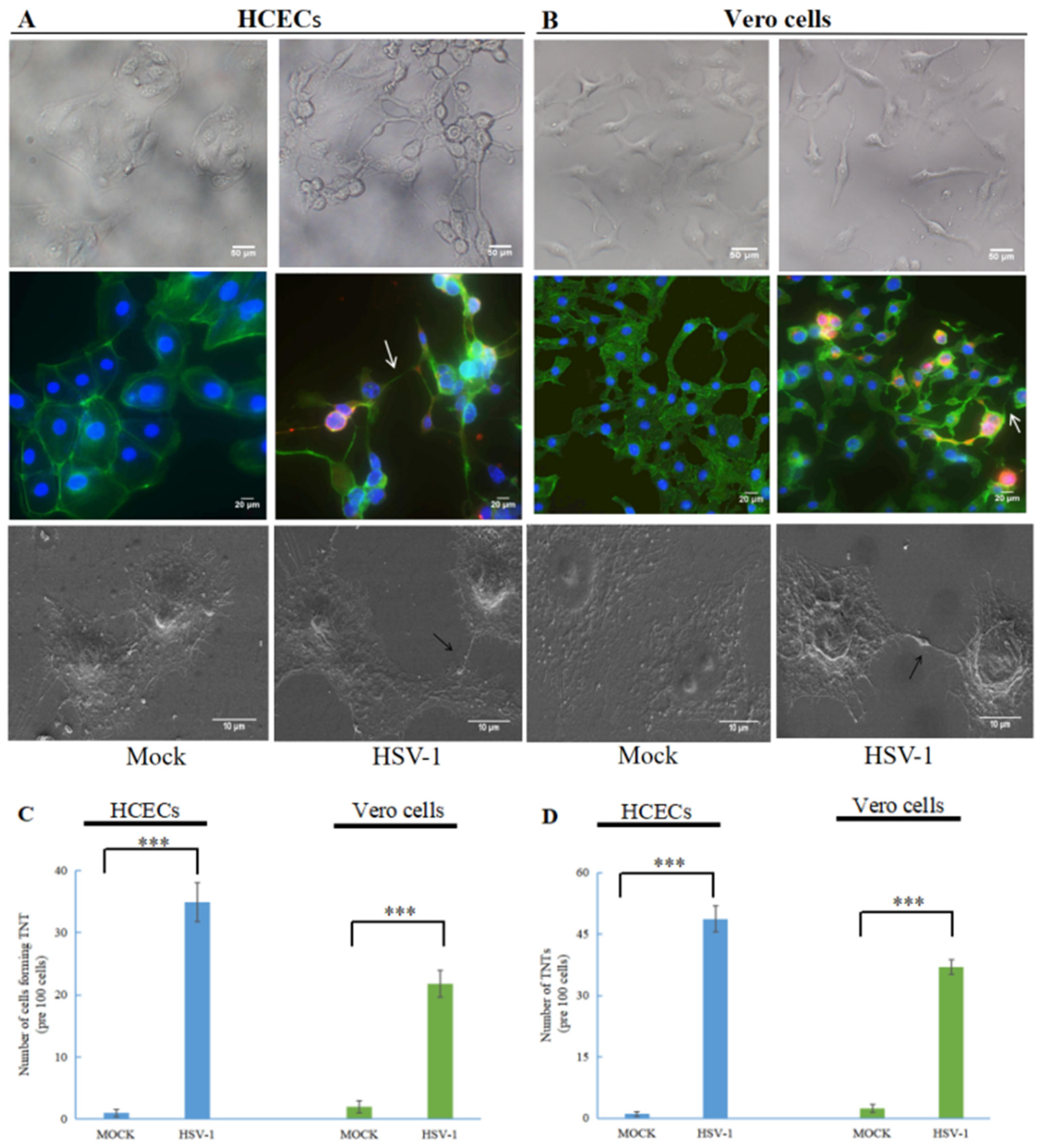 Microorganisms 11 01916 g001