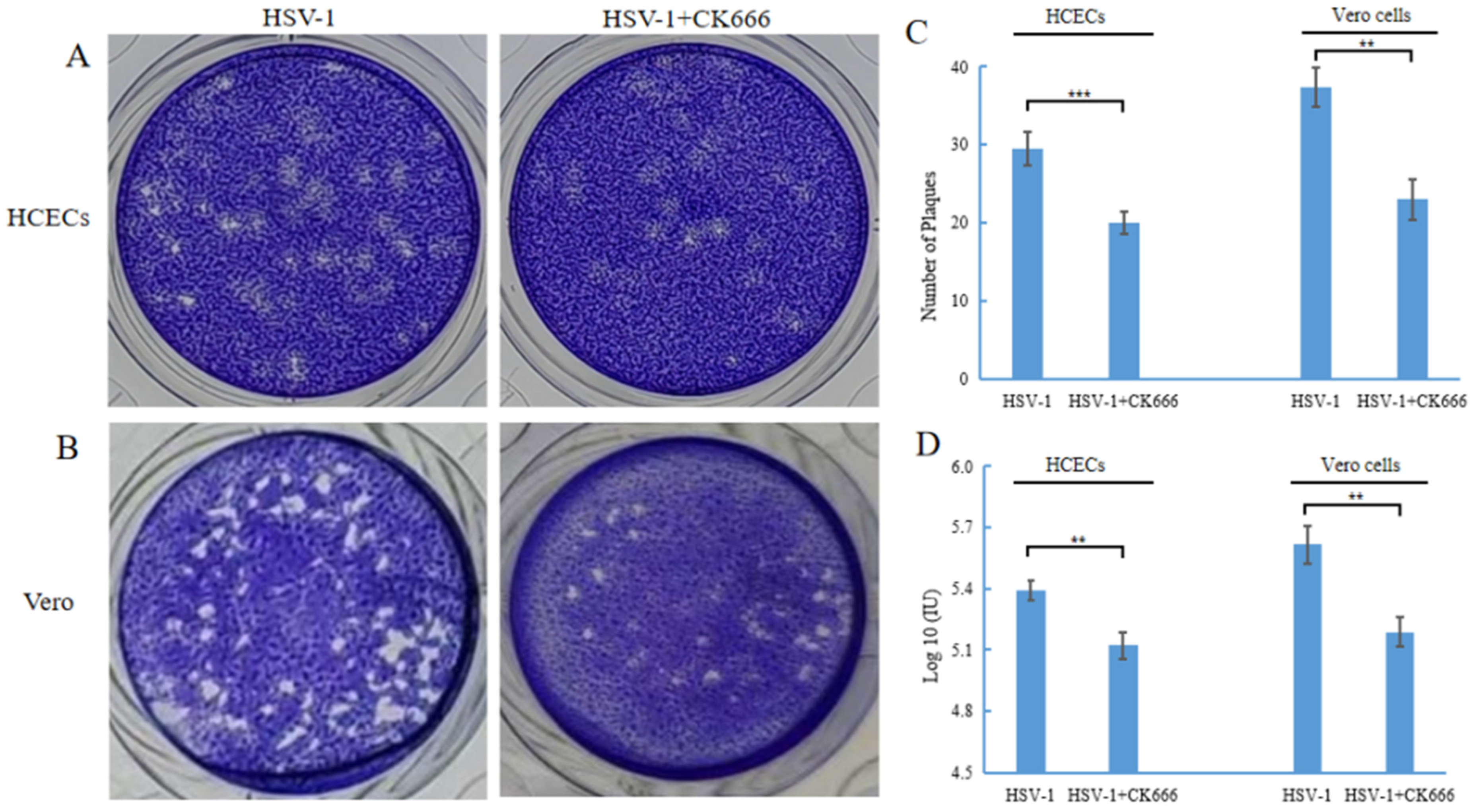 Microorganisms 11 01916 g004