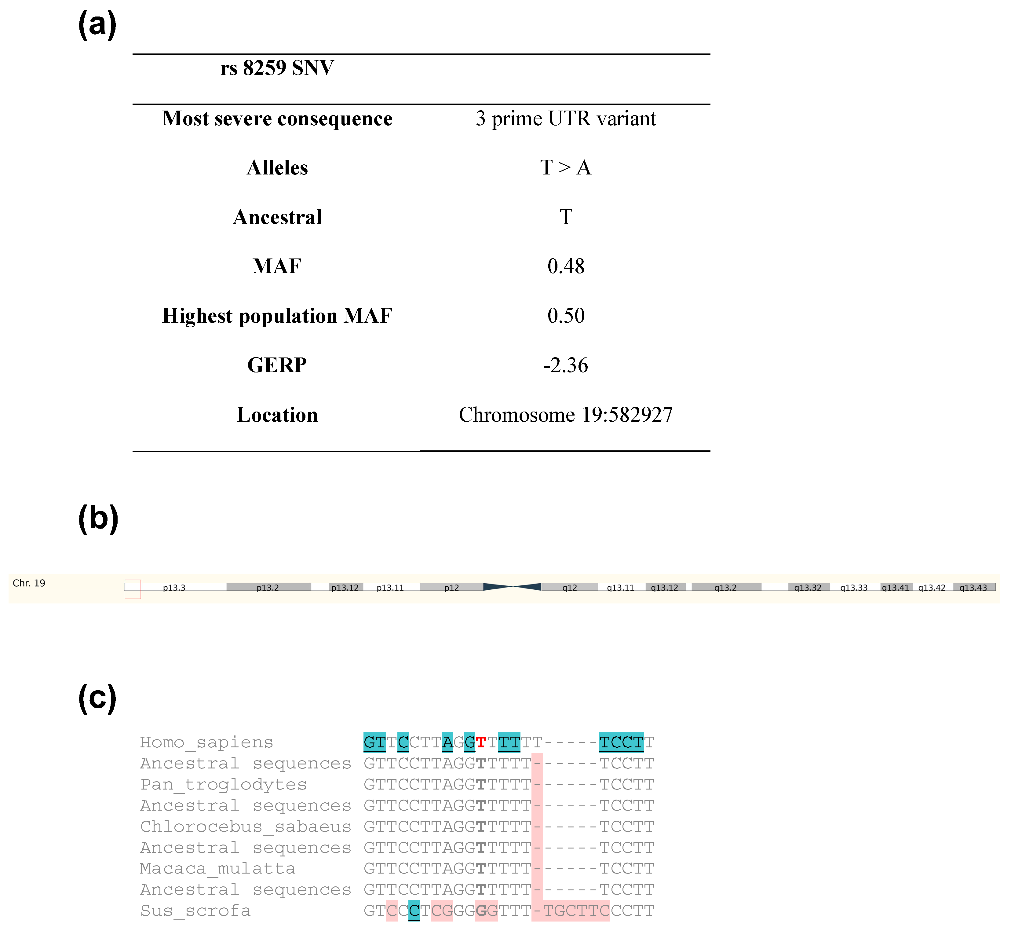 Microorganisms 11 01919 g001 Microorganisms 11 01919 g001