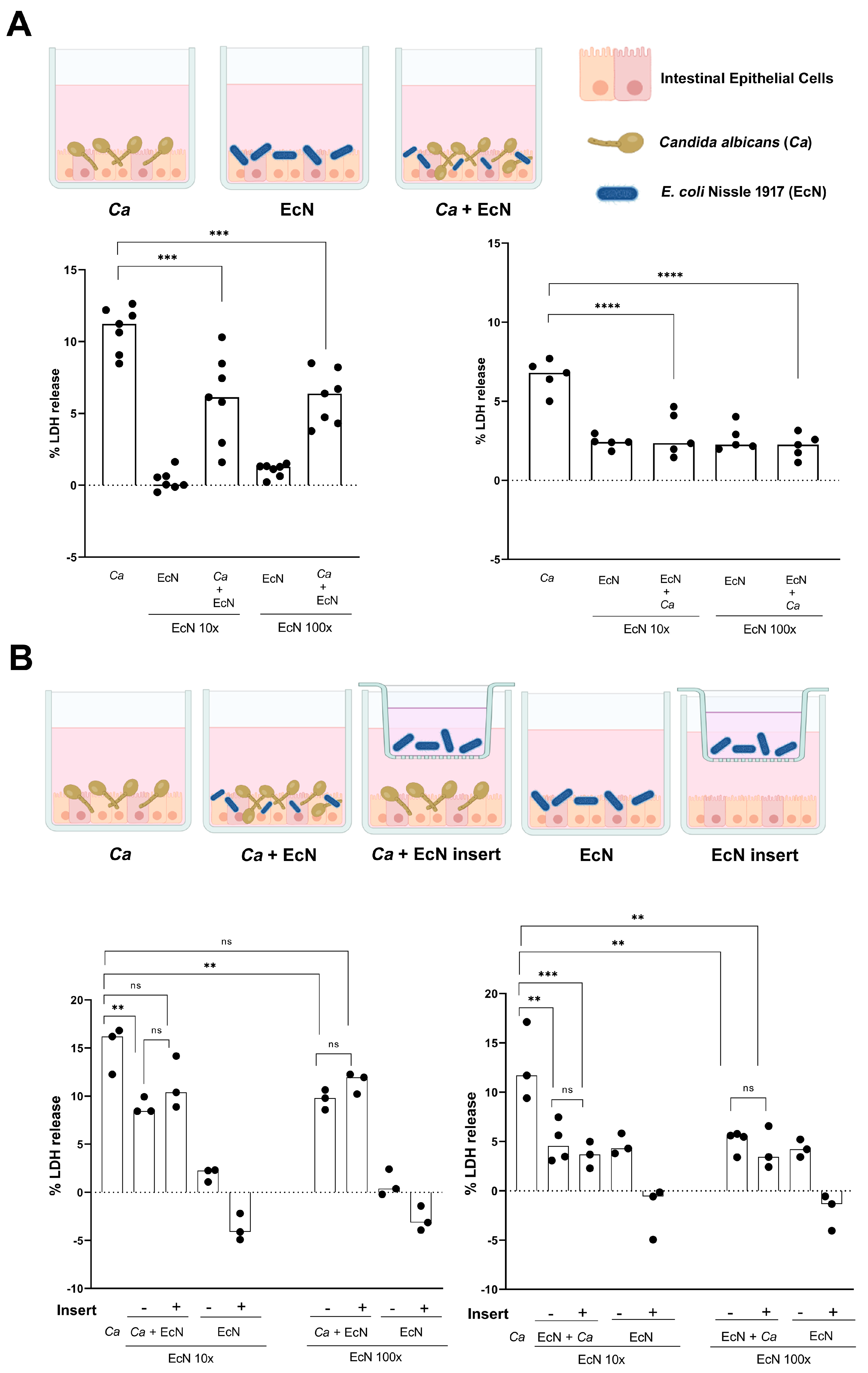 Microorganisms 11 01929 g004
